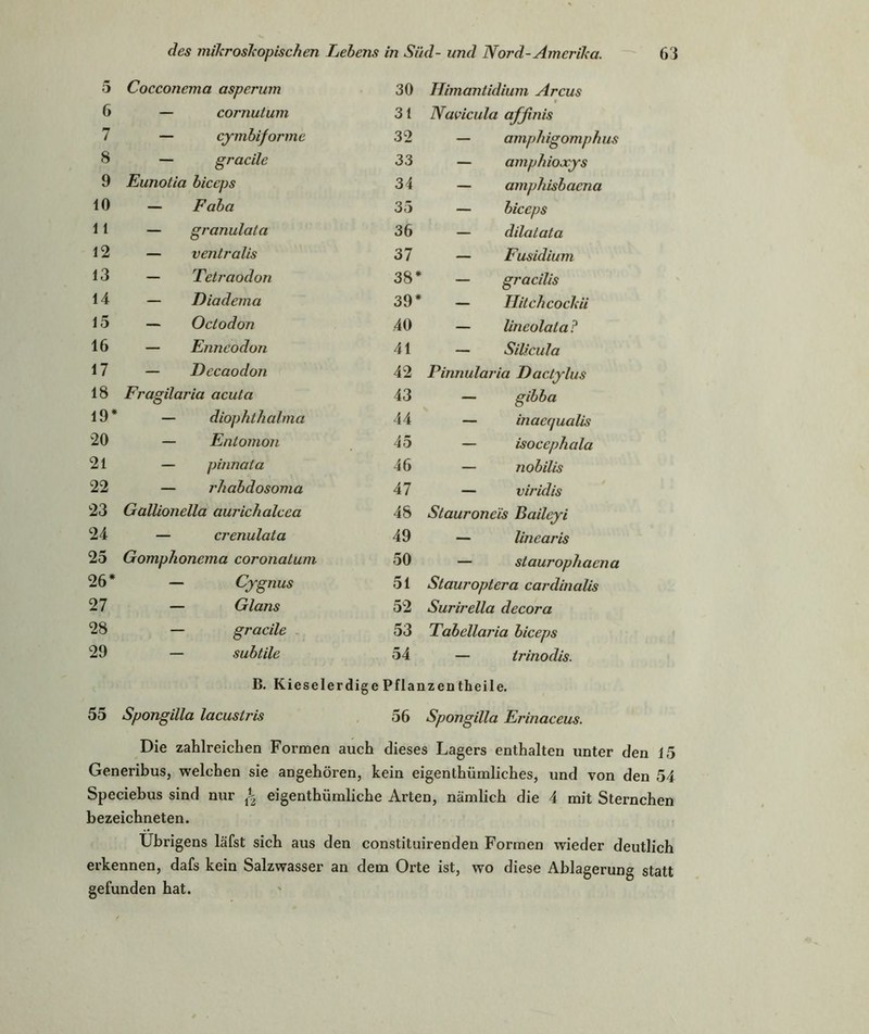 5 Cocconcma asperum 30 Himantidium Arcus 6 — cornutum 31 Navicula affinis 7 — cymbiforme 32 — amphigomphx 8 — gracile 33 — amphioxys 9 Eunolia biceps 34 — ampliisbacna 10 — Faba 35 — biceps 11 — granulata 36 — dilatata 12 — ventralis 37 — Fusidium 13 — Tetraodon 38* — gracilis 14 — Diadcma 39* — Ilitchcockii 15 — Octodon 40 — lineolala? 16 — Enncodon 41 — SiUcula 17 — Decaodon 42 Pinnularia Dactylus 18 Fragilaria acuta 43 — gibba 19* — diophthalma 44 — inacqualis 20 — Entomon 45 — isocephala 21 — pinnata 46 — nobilis 22 — rhabdosoma 47 — viridis 23 Gallionella aurichalcea 48 Staurone'is Baileyi 24 — crenulata 49 — linearis 25 Gomphonema coronatum 50 — staurophaci 26* — Cygnus 51 Stauroptera cardinalis 27 — Glans 52 Surirella decora 28 — gracile 53 Tabellaria biceps 29 — subtile 54 — trinodis. B. Kieselerdige Pflanzen theile. 55 Spongilla lacustris 56 Spongilla Erinaceus. Die zahlreichen Formen auch dieses Lagers enthalten unter den 15 Generibus, welchen sie angehören, kein eigenthümliches, und von den 54 Speciebus sind nur eigentümliche Arten, nämlich die 4 mit Sternchen bezeichneten. Übrigens läfst sich aus den constituirenden Formen wieder deutlich erkennen, dafs kein Salzwasser an dem Orte ist, wo diese Ablagerung statt gefunden hat.