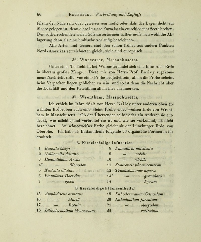 fels in der Nähe sein oder gewesen sein mufs, oder dafs das Lager dicht am Meere gelegen ist, denn diese letztere Form ist ein entschiedenes Seethierchen. Der vorherrschenden vielen Süfswasserformen halber mufs man wohl die Ab- lagerung dann als eine brakische vorläufig bezeichnen. Alle Arten und Genera sind den schon früher aus andern Punkten Nord-Amerikas verzeichneten gleich, viele sind europäisch. 36. Worcester, Massachusetts. Unter einer Torfschicht bei Worcester findet sich eine Infusorien-Erde in überaus grofser Menge. Diese mir von Herrn Prof. Bailey zugekom- mene Nachricht sollte von einer Probe begleitet sein, allein die Probe scheint beim Verpacken liegen geblieben zu sein, und so ist denn die Nachricht über die Lokalität und den Reichthum allein hier anzumerken. 37. Wrentham, Massachusetts. Ich erhielt im Jahre 1842 von Herrn Bailey unter anderen oben er- wähnten Erdproben auch eine kleine Probe einer weifsen Erde von Wrent- ham in Massachusetts. Ob der Ubersender selbst oder ein Anderer sie ent- deckt, wie mächtig und verbreitet sie ist und wie sie vorkommt, ist nicht bezeichnet. An schneeweifser Farbe gleicht sie der Lüneburger Erde von Oberohe. Ich habe als Bestandtheile folgende 33 organische Formen in ihr ermittelt: A. Kieselsch 1 Ewiotia biceps 2 Gallionella distans ? 3 Himantidium Arcus 4* — Monodon 5 Navicula dilatata 6 Pinnularia Dactylus 7 — gibba Iige Infusorien. 8 Pinnularia macilenta 9 — nobilis 10 — viridis 11 Stauroneis phoenicenteron 12 Trachelomonas aspera 13 * — granulata 14 — Pyrum. B. Kieselerdige Pflanzentheile. 15 Amphidiscus armatus 16 — Martii 17 — Rotula 18 Lithodermatium biconcavum 19 Lithodermatium Ossiculum 20 Lithodontium furcatum 21 — platyodon 22 — rostratuni