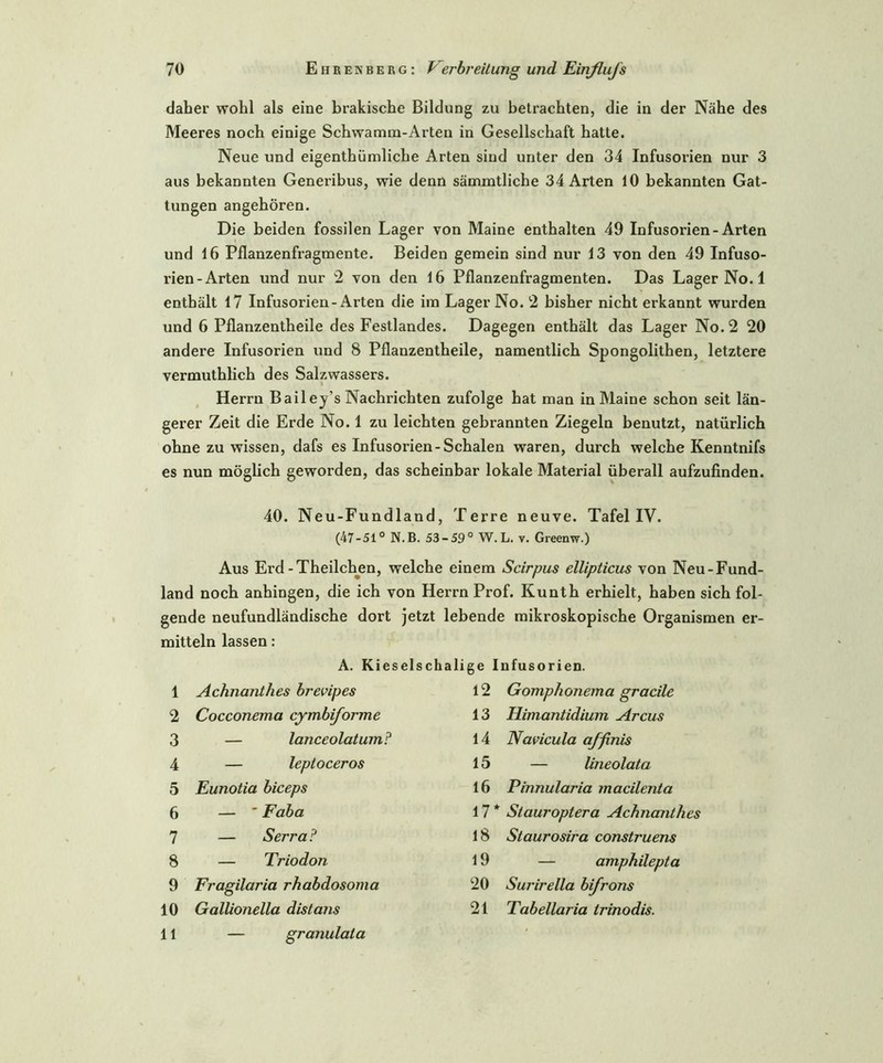 daher wohl als eine brakische Bildung zu betrachten, die in der Nähe des Meeres noch einige Schwamm-Arten in Gesellschaft hatte. Neue und eigenthümliche Arten sind unter den 34 Infusorien nur 3 aus bekannten Generibus, wie denn sämmtliche 34 Arten 10 bekannten Gat- tungen angehören. Die beiden fossilen Lager von Maine enthalten 49 Infusorien-Arten und 16 Pflanzenfragmente. Beiden gemein sind nur 13 von den 49 Infuso- rien-Arten und nur 2 von den 16 Pflanzenfragmenten. Das Lager No. 1 enthält 17 Infusorien-Arten die im Lager No. 2 bisher nicht erkannt wurden und 6 Pflanzentheile des Festlandes. Dagegen enthält das Lager No. 2 20 andere Infusorien und 8 Pflanzentheile, namentlich Spongolithen, letztere vermuthlich des Salzwassers. Herrn Bailey’s Nachrichten zufolge hat man in Maine schon seit län- gerer Zeit die Erde No. 1 zu leichten gebrannten Ziegeln benutzt, natürlich ohne zu wissen, dafs es Infusorien-Schalen waren, durch welche Kenntnifs es nun möglich geworden, das scheinbar lokale Material überall aufzufinden. 40. Neu-Fundland, Terre neuve. Tafel IV. (47-51° N.B. 53-59° W. L. v. Greenw.) Aus Erd-Theilchen, welche einem Scirpus ellipticus von Neu-Fund- land noch anhingen, die ich von Herrn Prof. Kunth erhielt, haben sich fol- gende neufundländische dort jetzt lebende mikroskopische Organismen er- mitteln lassen: A. Kieselschalige Infusorien. 1 Achnanthes brevipes 2 Cocconema cymbiforme 3 — lanceolatum? 4 — leptoceros 5 Eunotia biceps 6 — ' Faba 7 — Serra? 8 — Triodon 9 Fragilaria rhabdosoma 10 Gallionella distans 11 — granulata 12 Gomphonema gracile 13 Himantidium Arcus 14 Navicula a/finis 15 — lineolata 16 Pinnularia macilenta 17* Stauroptera Achnanthes 18 Staurosira construens 19 — amphilepta 20 Sui'irella bifrons 21 Tabellaria trinodis.
