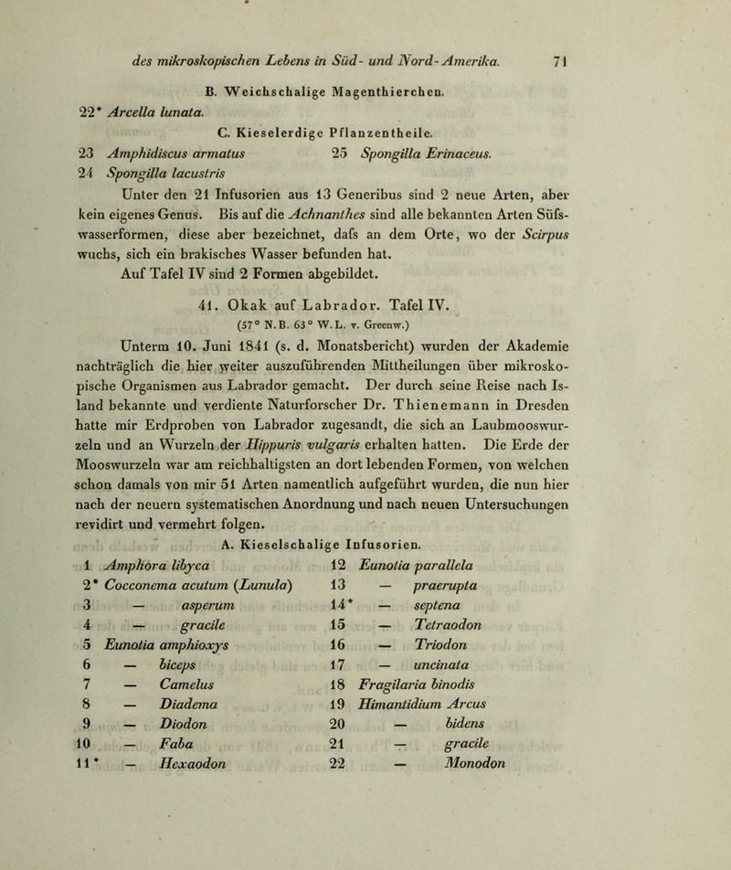 B. Weichschalige Magenthierchen. 22* Arcella lunata. C. Kieselerdige Pflanzentheile. 23 Amphidiscus armatus 25 Spongilla Erinaceus. 24 Spongilla lacustris Unter den 21 Infusorien aus 13 Generibus sind 2 neue Arten, aber kein eigenes Genus. Bis auf die Achnanthes sind alle bekannten Arten Süfs- wasserformen, diese aber bezeichnet, dafs an dem Orte, wo der Scirpus wuchs, sich ein brakisches Wasser befunden hat. Auf Tafel IV sind 2 Formen abgebildet. 41. Okak auf Labrador. Tafel IV. (57° N.B. 63° W.L. v. Greenw.) Unterm 10. Juni 1841 (s. d. Monatsbericht) wurden der Akademie nachträglich die hier weiter auszuführenden Mittheilungen über mikrosko- pische Organismen aus Labrador gemacht. Der durch seine Reise nach Is- land bekannte und verdiente Naturforscher Dr. Thienemann in Dresden hatte mir Erdproben von Labrador zugesandt, die sich an Laubmooswur- zeln und an Wurzeln der Hippuris vulgaris erhalten hatten. Die Erde der Mooswurzeln war am reichhaltigsten an dort lebenden Formen, von welchen schon damals von mir 51 Arten namentlich aufgeführt wurden, die nun hier nach der neuern systematischen Anordnung und nach neuen Untersuchungen revidirt und vermehrt folgen. A. K ieselschalige Infusorien. 1 Amphora libyca 12 Eunotia parallela 2* Cocconema acutum (Lunula) 13 — praerupta 3 — asperum 14* — septena 4 — gracile 15 — Tetraodon 5 Eunotia amphioxys 16 — Triodon 6 — hiceps 17 — uncinata 7 — Camelus 18 Fragilaria binodis 8 — Diadema 19 Himantidium Arcus 9 — Diodon 20 — bidens 10 — Faha 21 — gracile 11* — Hexaodon 22 — Monodon