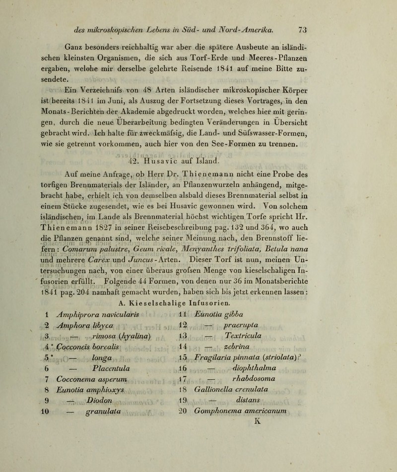 Ganz besonders reichhaltig war aber die spätere Ausbeute an isländi- schen kleinsten Organismen, die sich aus Torf-Erde und Meeres-Pflanzen ergaben, welohe mir derselbe gelehrte Reisende 1841 auf meine Bitte zu- sendete. Ein Verzeichnifs von 48 Arten isländischer mikroskopischer Körper ist bereits 1841 im Juni, als Auszug der Fortsetzung dieses Vortrages, in den Monats-Berichten der Akademie abgedruckt worden, welches hier mit gerin- gen, durch die neue Überarbeitung bedingten Veränderungen in Übersicht gebracht wird. Ich halte für zweckmäfsig, die Land- und Süfswasser-Formen, wie sie getrennt Vorkommen, auch hier von den See-Formen zu trennen. 42. Husavic auf Island. Auf meine Anfrage, ob Herr Dr. Thienemann nicht eine Probe des torfigen Brennmaterials der Isländer, an Pflanzenwurzeln anhängend, mitge- bracht habe, erhielt ich von demselben alsbald dieses Brennmaterial selbst in einem Stücke zugesendet, wie es bei Husavic gewonnen wird. Von solchem isländischen, im Lande als Brennmaterial höchst wichtigen Torfe spricht Hr. Thienemann 1827 in seiner Reisebeschreibung pag. 132 und 364, wo auch die Pflanzen genannt sind, welche seiner Meinung nach, den Brennstoff lie- fern : Comarum palustre, Geum rivale, Menyanthes trifoliata, Betula nana und mehrere Carex und Juncus- Arten. Dieser Torf ist nun, meinen Un- tersuchungen nach, von einer überaus grofsen Menge von kieselschaligen In- fusorien erfüllt. Folgende 44 Formen, von denen nur 36 im Monatsberichte 1841 pag. 204 namhaft gemacht wurden, haben sich bis jetzt erkennen lassen : A. Kieselschal ige Infusorien. 1 Amphiprora navicularis 11 Eunotia gihha 2 Amphora libyca 12 — praerupta 3 — rimosa (liyalina) 13 — Textricula 4* Cocconcis horealis 14 — zebrina 5* — longa io Fragilaria pinnata (striolala) 6 — Placentula 16 — diophthalma 7 Cocconema asperum 17 — rhabdosoma 8 Eunotia amphioxys 18 Gallionella crenulata 9 — Diodon 19 — distans 10 — granulata 20 Gomphonema americanum K