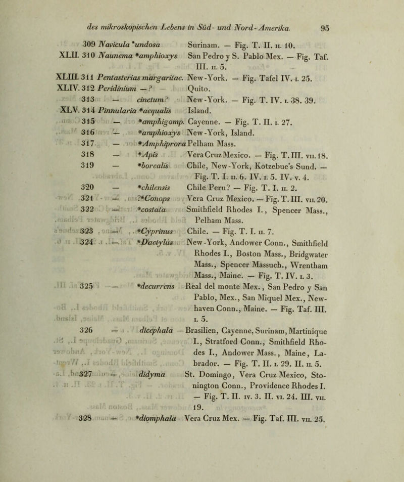 309 Navicula *undosa Surinam. — Fig. T. II. n. 10. XLII. 310 Naunema *amphioxys San Pedroy S. Pablo Mex. — Fig. Taf. III. ii. 5. XLIII 311 Pentastcrias margaritac. New-York. — Fig. Tafel IV. i. 25. XLIV. 312 Peridinium —? Quito. 313 — cinctum? New-York. — Fig. T. IV. i. 38. 39. XLV. 314 Pinnularia *aequalis Island. 315 — *amphigomp. Cayenne. — Fig. T. II. i. 27. 316 — *amphioccys New-York, Island. 317 — * Ampiliprora Pelham Mass. 318 — *Apis Vera Cruz Mexico. — Fig. T. III. vii. 18. 319 — *borealis Chile, New-York, Kotzebue’s Sund. — Fig. T. I. ii. 6. IV. i. 5. IV. y. 4. 320 — *chilcnsis Chile Peru? — Fig. T. I. ii. 2. 321 — .i.i l*Conops Vera Cruz Mexico.—Fig.T.III. vii.20. 322 — *costata Smithfield Rhodes I., Spencer Mass., ■' . v ■. Pelham Mass. 323 — . . *Cyprinus Chile. — Fig. T. I. n. 7. 324 .1.:— ^Dac-lylus New-York, Andower Conn., Smithfield Rhodes I., Boston Mass., Bridgwater Mass., Spencer Massuch., Wrentham Mass., Maine. — Fig. T. IV. i. 3. 325 — *decurrens Real del monte Mex., San Pedro y San Pablo, Mex., San Miquel Mex., New- haven Conn., Maine. — Fig. Taf. III. i. 5. 326 — dicepliala Brasilien, Cayenne, Surinam, Martinique I., Stratford Conn., Smithfield Rho- des I., Andower Mass., Maine, La-  1 • > ■ • brador. — Fig. T. II. i. 29. II. ii. 5. f’1 327  didyma St. Domingo, Vera Cruz Mexico, Sto- • J • nington Conn., Providence Rhodes I. — Fig. T. II. iv. 3. II. vi. 24. III. vii. 19. 328 — *diomphala Vera Cruz Mex. — Fig. Taf. III. vii. 25.