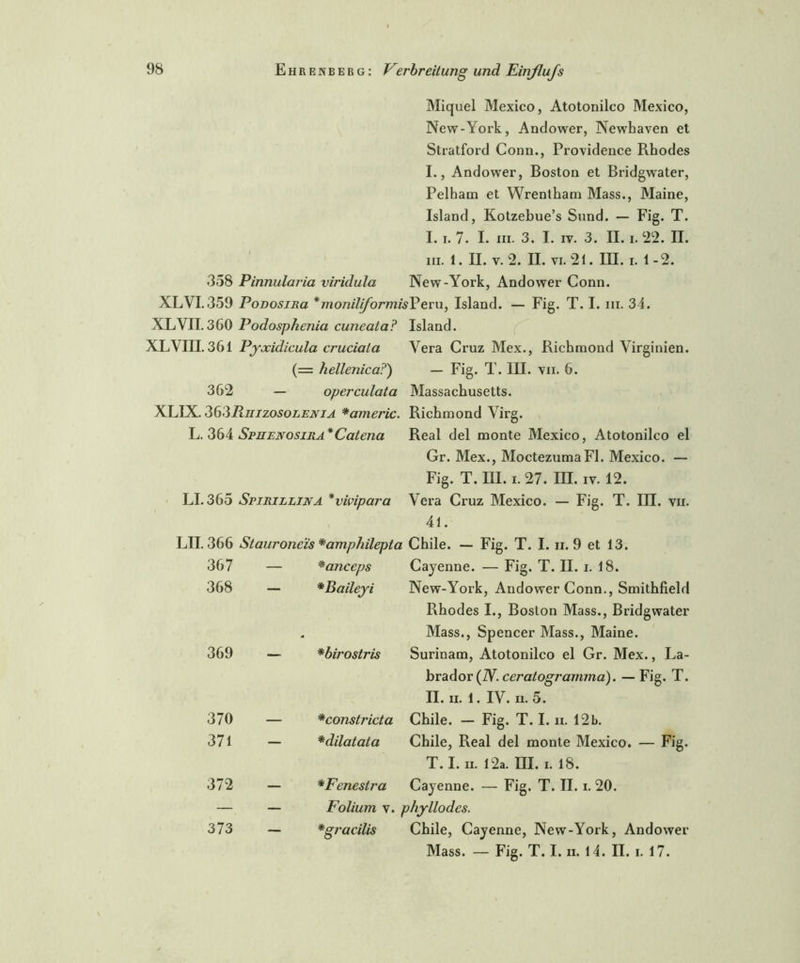 Miquel Mexico, Atotonilco Mexico, New-York, Andower, Newhaven et Stratford Conn., Providence Rhodes I., Andower, Boston et Bridgwater, Pelham et Wrentham Mass., Maine, Island, Kotzebue’s Sund. — Fig. T. I. i. 7. I. in. 3. I. iv. 3. II. i. 22. II. iii. 1. II. v. 2. II. vi. 21. III. i. 1-2. 358 Pinnularia viridula New-York, Andower Conn. XLVI. 359 PoDosma *moniliformisYeru, Island. — Fig. T. I. iii. 34. XL VII. 360 Podosphenia cuneata? XLVIII. 361 Pyxidicula cruciala (= hellenica?') 362 - operculata XLIX. 36ZRuizosolenia *americ. L. 364 Sphenosira* Catena LI. 365 Spirillina *vmpara LII. 366 Stauronc'is *amphilepta 367 — *anceps 368 - *Baileyi 369 - *birostris 370 — *constricta 371 - *dilatata 372 - *Feneslra Folium v. *gracilis Island. Vera Cruz Mex., Richmond Virginien. - Fig. T. III. vii. 6. Massachusetts. Richmond Virg. Real del monte Mexico, Atotonilco el Gr. Mex., MoctezumaFl. Mexico. — Fig. T. III. i. 27. III. iv. 12. Vera Cruz Mexico. — Fig. T. III. vii. 41. Chile. — Fig. T. I. n. 9 et 13. Cayenne. — Fig. T. II. i. 18. New-York, Andower Conn., Smithfield Rhodes I., Boston Mass., Bridgwater Mass., Spencer Mass., Maine. Surinam, Atotonilco el Gr. Mex., La- brador (N. ceratogramma). — Fig. T. II. II. 1. IV. 11.5. Chile. — Fig. T. I. ii. 12b. Chile, Real del monte Mexico. — Fig. T. I. ii. 12a. III. i. 18. Cayenne. — Fig. T. II. i. 20. phyllodes. Chile, Cayenne, New-York, Andower Mass. — Fig. T. I. ii. 14. II. i. 17. 373