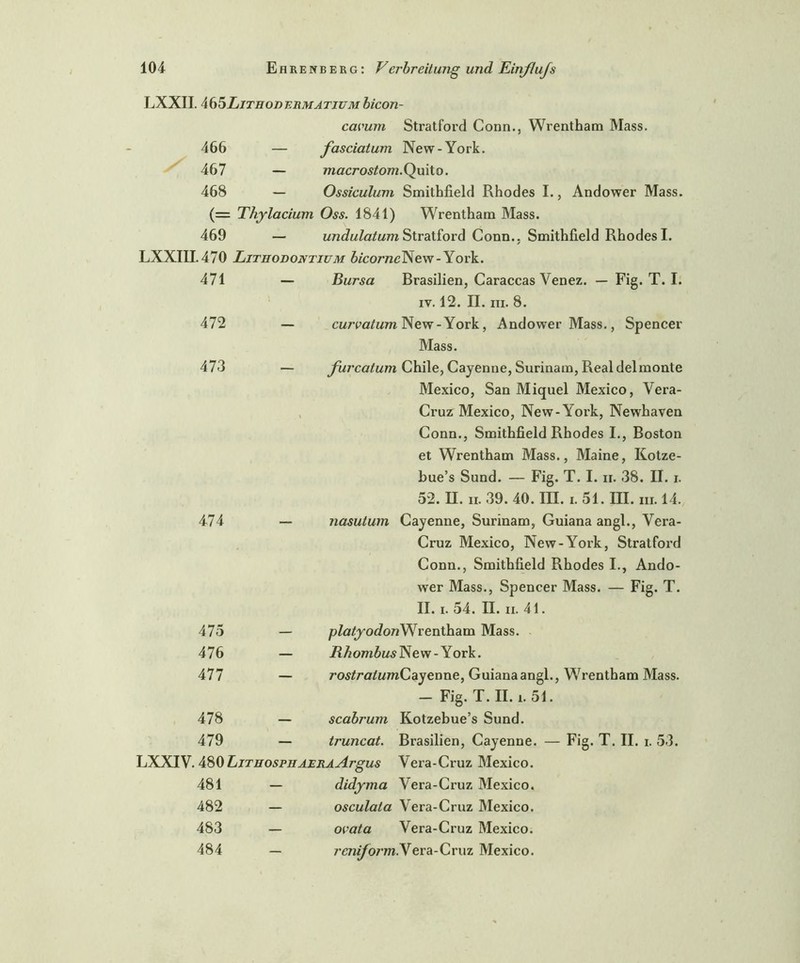 LXXII. 465Lithodermatium bicon- cavum Stratford Conn., Wrentham Mass. 466 — fasciatum New-York. 467 — macrostom. Quito. 468 — Ossiculum Smithfield Rhodes I., Andower Mass. (= Thylacium Oss. 1841) Wrentham Mass. 469 — undulatum Stratford Conn.. Smithfield Rhodes I. LXXIII.470 Lithodontium bicorncNew-York. 471 — Bursa Brasilien, Caraccas Venez. — Fig. T. I. iv. 12. II. iii. 8. 472 — curvatum New-York, Andower Mass., Spencer Mass. 473 — furcatum Chile, Cayenne, Surinam, Real delmonte Mexico, San Miquel Mexico, Vera- Cruz Mexico, New-York, Newhaven Conn., Smithfield Rhodes I., Boston et Wrentham Mass., Maine, Kotze- bue’s Sund. — Fig. T. I. ii. 38. II. i. 52. II. ii. 39. 40. III. i. 51. III. m. 14. 474 — nasutum Cayenne, Surinam, Guiana angl., Vera- Cruz Mexico, New-York, Stratford Conn., Smithfield Rhodes I., Ando- wer Mass., Spencer Mass. — Fig. T. II. i. 54. II. ii. 41. 475 476 477 478 479 LXXIV. 480 Ljthosphaera Argus 481 — didyma 482 - 483 - platyodonWrentham Mass. Rhombus New-York. ros£/’fltf«mCayenne, Guiana angl., Wrentham Mass. — Fig. T. II. i. 51. scabrum Kotzebue’s Sund. truncat. Brasilien, Cayenne. — Fig. T. II. i. 53. Vera-Cruz Mexico. Vera-Cruz Mexico. osculata Vera-Cruz Mexico. ovata Vera-Cruz Mexico. 484 rcniform.Vera-Cruz Mexico.