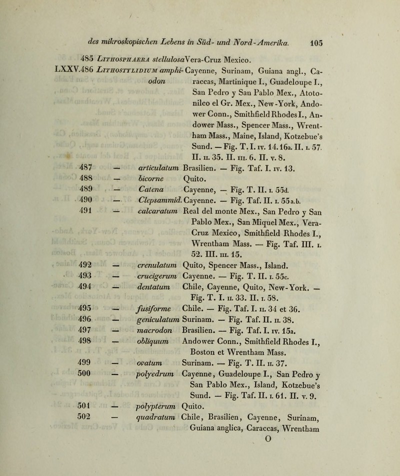 / des mikroskopischen Lehens in Süd- und Nord-Amerika. 105 485 Lithospiiaera stellulosaVera-Cruz Mexico. LXXV486 Lituosttlidium amphi- Cayenne, Surinam, Guiana angl., Ca- odon raccas, Martinique I., Guadeloupe I., San Pedro y San Pablo Mex., Atoto- nilco el Gr. Mex., New-York, Ando- wer Conn., Smithfield Rhodes I., An- dowerMass., Spencer Mass., Wrent- ham Mass., Maine, Island, Kotzebue’s Sund. — Fig. T. I. iv. 14.16a. II. i. 57. II. ii. 35. II. in. 6. II. v. 8. 487 — articulalum Brasilien. — Fig. Taf. I. iv. 13. 488 — bicorne Quito. 489 — Caiena Cayenne, — Fig. T. II. i. 55d. 490 — Clcpsammid. Cayenne. — Fig. Taf. II. i. 55a.b. 491 calcaratum Real del monte Mex., San Pedro y San Pablo Mex., San Miquel Mex., Vera- Cruz Mexico, Smithfield Rhodes I., Wrentham Mass. — Fig. Taf. III. i. 52. III. m. 15. 492 — crenulatum Quito, Spencer Mass., Island. 493 — crucigerum Cayenne. — Fig. T. II. i. 55c. 494 — dentatum Chile, Cayenne, Quito, New-York. — Fig. T. I. ii. 33. II. i. 58. 495 — fusiforme Chile. — Fig. Taf. I. n. 34 et 36. 496 — geniculatum Surinam. — Fig. Taf. II. n. 38. 497 — macrodon Brasilien. — Fig. Taf. I. iv. 15a. 498 — ohliquum Andower Conn., Smithfield Rhodes I., Boston et Wrentham Mass. 499 — ovatum Surinam. — Fig. T. II. ii. 37. 500 poljedrum Cayenne, Guadeloupe I., San Pedro y San Pablo Mex., Island, Kotzebue’s Sund. — Fig. Taf. II. i. 61. II. v. 9. 501 — polypterum Quito. 502 quadratum Chile, Brasilien, Cayenne, Surinam, Guiana anglica, Caraccas, Wrentham O