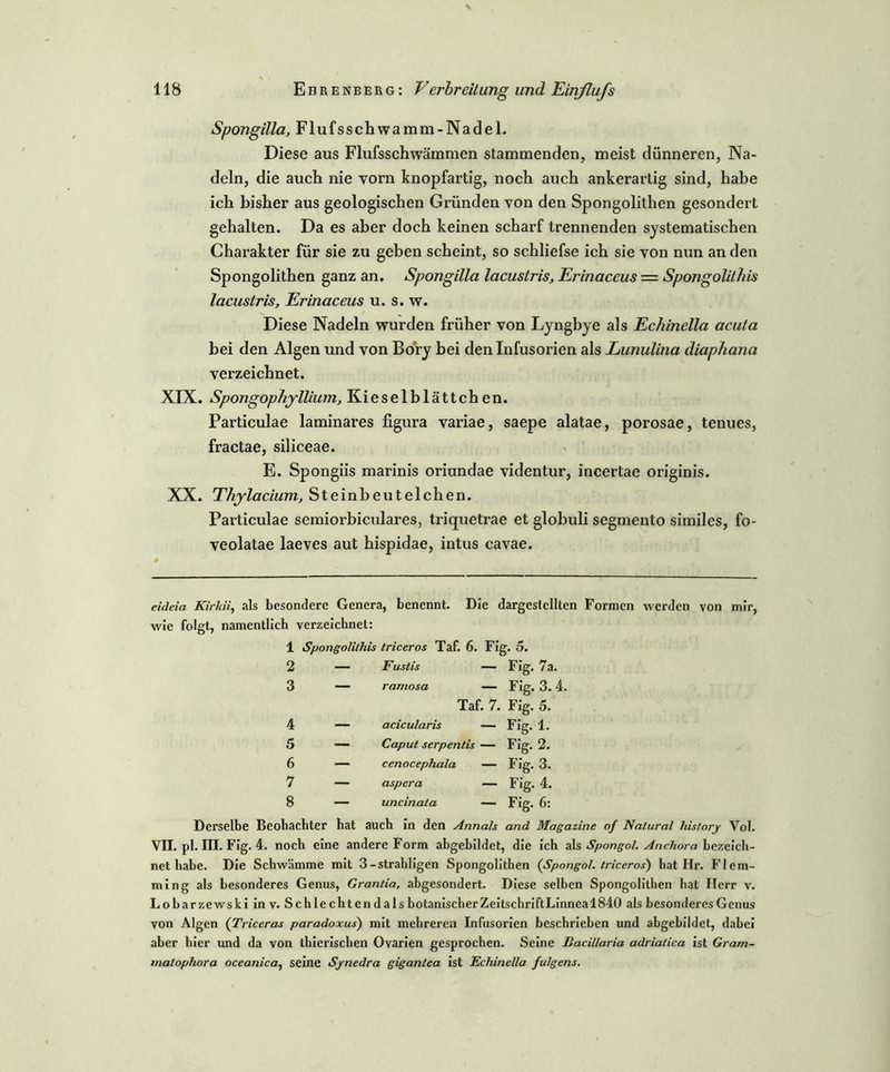 Spongilla, Flufsschwamm-Nadel. Diese aus Flufsschwämmen stammenden, meist dünneren, Na- deln, die auch nie vorn knopfartig, noch auch ankerartig sind, habe ich bisher aus geologischen Gründen von den Spongolithen gesondert gehalten. Da es aber doch keinen scharf trennenden systematischen Charakter für sie zu geben scheint, so schliefse ich sie von nun an den Spongolithen ganz an. Spongilla lacustris, Erinaccus = Spongolithis lacustris, Erinaceus u. s. w. Diese Nadeln wurden früher von Lyngbye als Echinella acuta bei den Algen und von Bory bei den Infusorien als Lunulina diaphana verzeichnet. XIX. Spongophyllium, Kieselblättchen. Particulae laminares figura variae, saepe alatae, porosae, tenucs, fractae, siliceae. E. Spongiis marinis oriundae videntur, incertae originis. XX. Thylacium, St einbeut eichen. Particulae semiorbiculares, triquetrae et globuli segmento similes, fo- veolatae laeves aut hispidae, intus cavae. eidcia Kirkii, als besondere Genera, benennt. Die dargesteilten Formen werden von mir, wie folgt, namentlich verzeichnet: 1 Spongolithis triceros Taf. 6. Fig. 5. 2 — Fustis — Fig. 7a. 3 — ramosa — Fig. 3. 4. Taf. 7. Fig. 5. 4 — acicu/aris — Fig. 1. 5 — Caput serpentis — Fig. 2. 6 — cenocephala — Fig. 3. 7 — aspera — Fig. 4. 8 — uncinata — Fig. 6: Derselbe Beobachter hat auch in den Annals and Magazine of Natural hislory Vol. VII. pl. III. Fig. 4. noch eine andere Form abgebildet, die ich als Spongol. Anchora bezeich- net habe. Die Schwämme mit 3-strahligen Spongolithen (Spongol. triceros) bat Hr. Flem- ming als besonderes Genus, Grantia, abgesondert. Diese selben Spongolithen hat Herr v. Lobarzewski inv. Schlechtendals botanischerZeitschriftLinneal840 als besonderes Genus von Algen (Triceras paradoxus) mit mehreren Infusorien beschrieben und abgebildet, dabei aber hier und da von thierischen Ovarien gesprochen. Seine Bacillaria adriatica ist Gram- matophora oceanica, seine Synedra gigantea ist Echinella fu/gens.