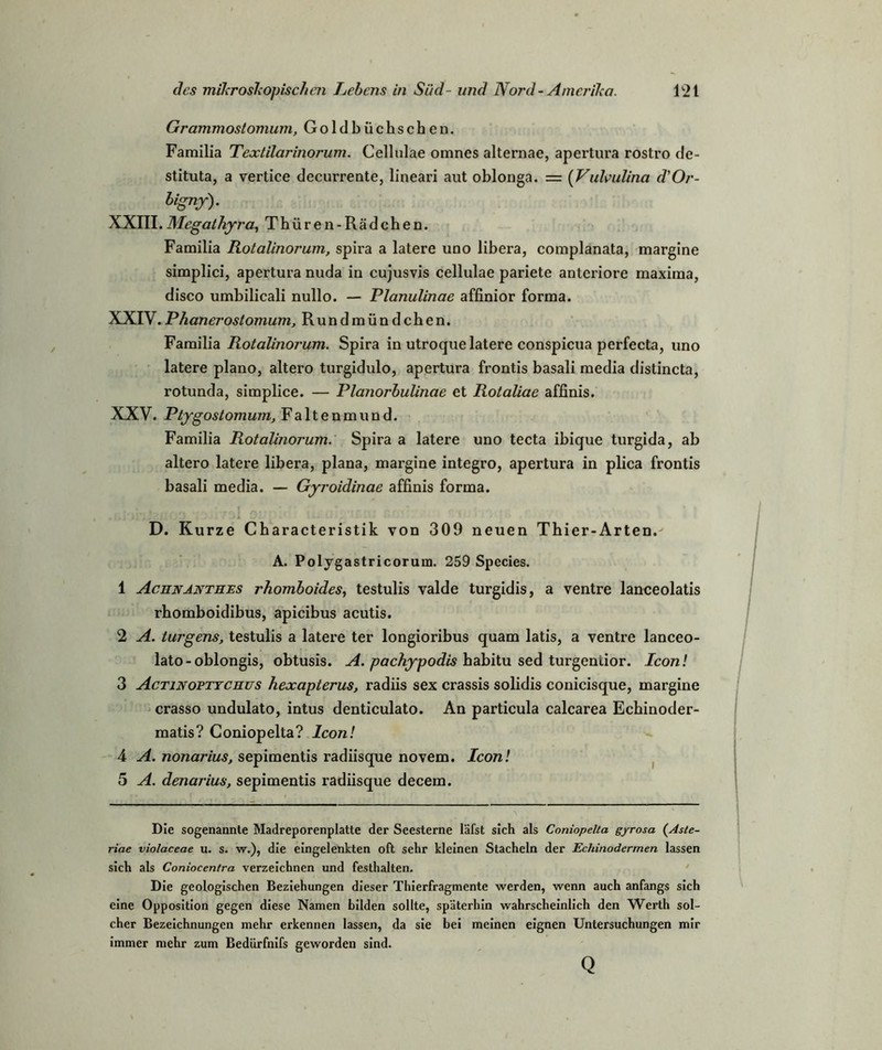 Grammostomum, Goldbüchschen. Farailia Textilarinorum. Cellulae omnes alternae, apertura rostro de- stituta, a vertice decurrente, lineari aut oblonga. = (Vulvulina d'Or- lignf). XXIII.Megalhyra, Thüren- Rädchen. Familia Rotalinorum, spira a latere uno libera, complanata, margine simplici, apertura nuda in cujusvis cellulae pariete anteriore maxima, disco umbilicali nullo. — Planulinae affinior forma. XXIV. Phanerostomum, Rundmündchen. Familia Rotalinorum. Spira in utroque latere conspicua perfecta, uno latere plano, altero turgidulo, apertura frontis basali media distincta, rotunda, simplice. — Planorbulinae et Rotaliae affinis. XXV. Ptygostomum, Faltenmund. Familia Rotalinorum. Spira a latere uno tecta ibique turgida, ab altero latere libera, plana, margine integro, apertura in plica frontis basali media. — Gyroidinae affinis forma. D. Kurze Cbaracteristik von 309 neuen Thier-Arten.' A. Polygastricorum. 259 Species. 1 Achnanthes rhomboides, testulis valde turgidis, a ventre lanceolatis rhomboidibus, apicibus acutis. 2 A. turgens, testulis a latere ter longioribus quam latis, a ventre lanceo- lato-oblongis, obtusis. A. pachypodis habitu sed turgenlior. Icon! 3 Actinoptychus hexapterus, radiis sex crassis solidis conicisque, margine crasso undulato, intus denticulato. An particula calcarea Echinoder- matis? Coniopelta? Icon! 4 A. nonarius, sepimentis radiisque novem. Icon! 5 A. denarius, sepimentis radiisque decem. Die sogenannte Madreporenplatte der Seesterne läfst sich als Coniopelta gyrosa (Aste- riae violaceae u. s. w.), die eingelenkten oft sehr kleinen Stacheln der Echinodermen lassen sich als Coniocentra verzeichnen und festhalten. Die geologischen Beziehungen dieser Thierfragmente werden, wenn auch anfangs sich eine Opposition gegen diese Namen bilden sollte, späterhin wahrscheinlich den Werth sol- cher Bezeichnungen mehr erkennen lassen, da sie bei meinen eignen Untersuchungen mir immer mehr zum Bedürfnifs geworden sind. Q