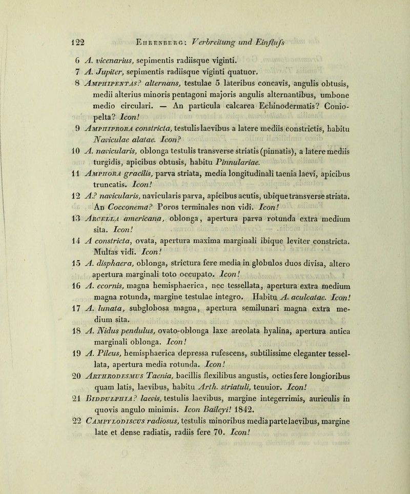 6 A. viccnarius, sepimentis radiisque viginti. 7 A. Jupiter, sepimentis radiisque viginti quatuor. 8 Ampiiipentas? alternans, testulae 5 lateribus concavis, angulis obtusis, medii alterius minoris pentagoni majoris angulis alternantibus, umbone medio circulari. — An particula calcarea Ecbinodermatis? Conio- pelta? Icon! 9 Amphiprora constricta, testulislaevibus a latere mediis constrictis, babitu Nai'iculac alatae. Icon? 10 A. naeicularis, oblonga testulis transverse striatis (pinnatis), a latere mediis turgidis, apicibus obtusis, habitu Pinnulariae. 11 Ampiiora gracilis, parva striata, media longitudinali taenia laevi, apicibus truncatis. Icon! 12 A.? naeicularis, navicularis parva, apicibus acutis, ubique transverse striata. An Cocconema? Poros terminales non vidi. Icon! 13 Arcella americana, oblonga, apertura parva rotunda extra medium sita. Icon! 14 A constric.ta, ovata, apertura maxima marginali ibique leviter constricta. Multas vidi. Icon! 15 A. disphaera, oblonga, strictura fere media in globulos duos divisa, altero apertura marginali toto occupato. Icon! 16 A. ecornis, magna hemisphaerica, nec tessellata, apertura extra medium magna rotunda, margine testulae integro. Habitu A. aculcatac. Icon! 17 A. lunata, subglobosa magna, apertura semilunari magna extra me- dium sita. 18 A. Nidus pendulus, ovato-oblonga laxe areolata hyalina, apertura antica marginali oblonga. Icon! 19 A. Pileus, hemisphaerica depressa rufescens, subtilissime eleganter tessel- lata, apertura media rotunda. Icon! 20 Artiirodesmus Taenia, bacillis flexilibus angustis, octiesfere longioribus quam latis, laevibus, habitu Artli. slriatuli, tenuior. Icon! 21 Biddulphia? laevis, testulis laevibus, margine integerrimis, auriculis in quovis angulo minimis. Icon Bailcyi! 1842. 22 Campylodiscus radiosus, testulis minoribus media partelaevibus, margine late et dense radiatis, radiis fere 70. Icon!