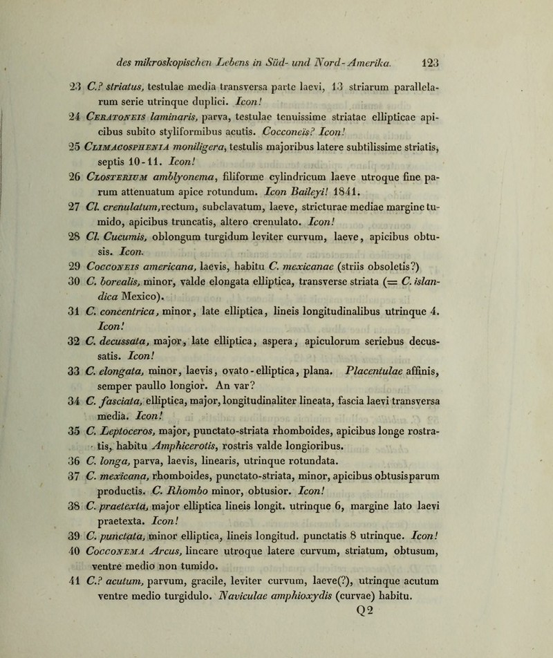 23 C.? striatus, testulae media transversa parte laevi, 13 striarum parallela- rum serie utrinque duplici. Icon! 24 Ceratoneis laminaris, parva, testulae tenuissime striatae ellipticae api- cibus subito styliformibus acutis. Cocconc'is? Icon! 25 Climacosphenia moniligera, testulis majoribus latere subtilissime striatis, septis 10-11. Icon! 26 Closterjum amblyonema, filiforme cylindricum laeve utroque fine pa- rum attenuatum apice rotundum. Icon Baileyi! 1841. 27 CI. crenulatum,vectx\m, subclavatum, laeve, stricturae mediae margine tu- mido, apicibus truncatis, altero crenulato. Icon! 28 CI. Cucumis, oblongum turgidum leviter curvum, laeve, apicibus obtu- sis. Icon. 29 Cocconeis americana, laevis, habitu C. mcxicanae (striis obsoletis?) 30 C. borealis, minor, valde elongata elliptica, transverse striata (= C. islan- dica Mexico). 31 C. concentrica, minor, late elliptica, lineis longitudinalibus utrinque 4. Icon! 32 C. decussata, major, late elliptica, aspera, apiculorum seriebus decus- satis. Icon! 33 C. elongata, minor, laevis, ovato- elliptica, plana. Placentulae affinis, semper paullo longior. An var? 34 C. fasciata, elliptica, major, longitudinaliter lineata, fascia laevi transversa media. Icon! 35 C. Leptoceros, major, punctato-striata rhomboides, apicibus longe rostra- tis, habitu Amphicerotis, rostris valde longioribus. 36 C. longa, parva, laevis, linearis, utrinque rotundata. 37 C. mexicana, rhomboides, punctato-striata, minor, apicibus obtusisparum productis. C. Rhombo minor, obtusior. Icon! 38 C. praetexta, major elliptica lineis longit. utrinque 6, margine lato laevi praetexta. Icon! 39 C. punctata, minor elliptica, lineis longitud. punctatis 8 utrinque. Icon! 40 Cocconema Arcus, lineare utroque latere curvum, Striatum, obtusum, ventre medio non tumido. 41 C.? acutum, parvum, gracile, leviter curvum, laeve(?), utrinque acutum ventre medio turgidulo. Naviculae amphioxydis (curvae) habitu. Q2