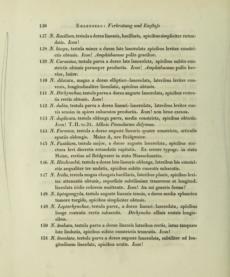 137 TV. Bacillum, testula a dorso linearis, bacillaris, apicibus simpliciter rotun- datis. Icon\ 138 TV. biceps, testula minor a dorso late lanceolata apicibus leviter constri- ctis obtusis. Icon\ Amphisbaenae pullo gracilior. 139 TV Carassius, testula parva a dorso late lanceolata, apicibus subito con- strictis obtusis parumper productis. Icon\ Amphisbaenae pullo bre- vior, latior. 140 TV. dilatata, magna a dorso elliptico-lanceolata, lateribus leviter con- vexis, longitudinaliter lineolatis, apicibus obtusis. 141 TV. Dirhynclius, testula parva a dorso anguste lanceolata, apicibus rostra- tis rectis obtusis. Icon\ 142 TV dubia, testula parva a dorso lineari-lanceolata, lateribus leviter cur- vis sensim in apices subacutos productis. Iconl non bene excusa. 143 TV duplicata, testula oblonga parva, media constricta, apicibus obtusis. Iconl T.II. vi.24. Affinis Pinnulariae didymae. 144 TV. Formica, testula a dorso anguste linearis quater constricta, articulis spuriis oblongis. Maine A, nec Bridgwater. 145 .ZV. Fusidium, testula major, a dorso anguste lanceolata, apicibus stri- ctura levi discretis rotundatis capitatis. Ex errore typogr. in statu Maine, rectius ad Bridgwater in statu Massuchusetts. 146 .ZV Ilitchcocldi, testula a dorso late linearis oblonga, lateribus bis constri- ctis aequaliter ter undatis, apicibus subito cuneatis subacutis. 147 .ZV Iridis, testula magna elongata bacillaris, lateribus planis, apicibus levi- ter attenuatis obtusis, superficie subtilissime transverse et longitud. lineolata iridis colorem emittente. Iconl An sui generis forma? 148 TV. leptogongyla, testula anguste linearis tenuis, a dorso media sphaerico tumore turgida, apicibus simpliciter obtusis. 149 TV. Leptorhynchus, testula parva, a dorso lineari-lanceolata, apicibus longe rostratis rectis subacutis. Dirhyncho affinis rostris longio- ribus. 150 TV. limbata, testula parva a dorso linearis latei’ibus rectis, intus tanquam late limbatis, apicibus subito constrictis truncatis. Iconl 151 TV. lineolata, testula parva a dorso anguste lanceolata, subtiliter ad lon- gitudinem lineolata, apicibus acutis. Iconl