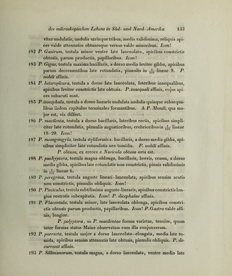 viter undulatis, undulis utrinque tribus, media validissima, reliquis api- ces valde attenuatos obtusosque versus valde minoribus. Iconl 182 P. Gaslrum, testula minor ventre late lanceolato, apicibus constrictis obtusis, parum productis, papillaribus. Icon\ 183 P. Gigas, testula maxima bacillaris, a dorso media leviter gibba, apicibus parum decressentibus late rotundatis, pinnulis in ^ lineae 9. P. nobili affinis. 184 P. heteropleura, testula a dorso late lanceolata, lateribus inaequalibus, apicibus leviter constrictis late obtusis. P. inaequali affinis, cujus api- ces subacuti sunt. 185 P.isocephala, testula a dorso linearis undulata nodulis quinque subaequa- libus iisdem capitulos terminales formantibus. A P. Monili, qua ma- jor est, vix differt. 186 P. macilenta, testula a dorso bacillaris, lateribus rectis, apicibus simpli- citer late rotundatis, pinnulis angustioribus, crebrioribusin ^ lineae 18-20. Iconl 187 P. mesogongyla, testula styliformis s. bacillaris, a dorso media gibba, api- cibus simpliciter late rotundatis nec tumidis. P. nobili affinis. P. obtusa, ex errore e Navicula obtusa orta est. 188 P. pachyptera, testula magna oblonga, bacillaris, brevis, crassa, a dorso media gibba, apicibus late rotundatis non constrictis, pinnis validissimis in Ajj üneae 6. 189 P. peregrina, testula anguste lineari-lanceolata, apicibus sensim acutis non constrictis, pinnulis obliquis. Iconl 190 P. Pisciculus, testula subtilissima anguste-linearis, apicibus constrictis lon- gius rostratis subcapitatis. Iconl P. dicephalae affinis. 191 P. Placentula, testula minor, late lanceolata oblonga, apicibus constri- ctis obtusis parum productis, papillaribus. Iconl P.Gastroyaide affi- nis, longior. P. polyptera, = P. macilentae forsan varietas, tenuior, quam inter formas Status Maine observatam cum illa conjunxeram. 192 P. porrecta, testula major a dorso lanceolato-elongata, media late tu- mida, apicibus sensim attenuatis late obtusis, pinnulis obliquis. P. de- currenti affinis. 193 P. Sillimanorum, testula magna, a dorso lanceolata, ventre medio late
