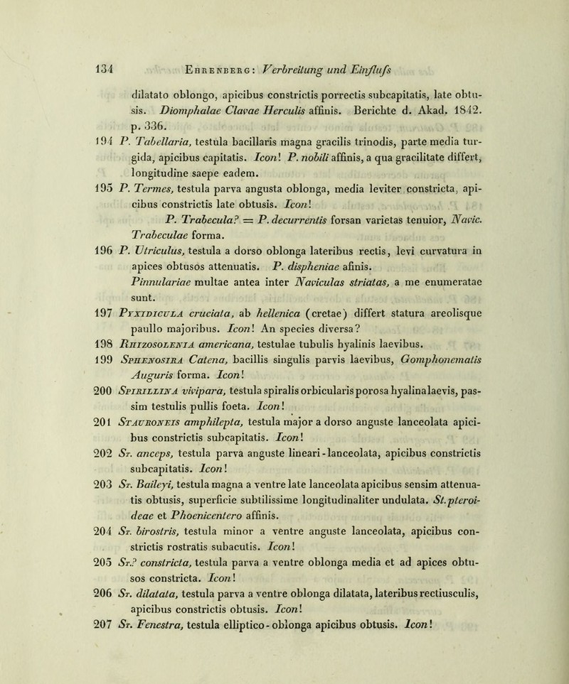 dilatato oblongo, apicibus constrictis porrectis subcapitatis, late obtu- sis. Diomphalae Clacae Herculis affinis. Berichte d. Akad. 1842. p. 336. 194 P. Tabellaria, testula bacillaris magna gracilis trinodis, parte media tur- gida, apicibus capitatis. lcon\ P. nobili affinis, a qua gracilitate differt, longitudine saepe eadem. 195 P. Termes, testula parva angusta oblonga, media leviter constricta, api- cibus constrictis late obtusis. Iconl P. Trabecula? — P. decurrentis forsan varietas tenuior, Navic. Trabeculae forma. 196 P. TJtriculus, testula a dorso oblonga lateribus rectis, levi curvatura in apices obtusos attenuatis. P. dispheniae afinis. Pinnulariae multae antea inter Nciviculas stricitas, a me enumeratae sunt. 197 Pixidicula cj'uciata, ab hellenica (cretae) differt statura areolisque paullo majoribus. Iconl An species diversa? 198 Rhizosolenia americana, testulae tubulis hyalinis laevibus. 199 Spjienosira Catena, bacillis siugulis parvis laevibus, Gomphonemalis Auguris forma. Iconl 200 Spirillina vivipara, testula spiralisorbicularisporosahyalinalaevis, pas- sim testulis pullis foeta. Iconl 201 Stauroneis amphilepta, testula major a dorso anguste lanceolata apici- bus constrictis subcapitatis. Iconl 202 St. anccps, testula parva anguste lineari-lanceolata, apicibus constrictis subcapitatis. Iconl 203 St. Baileyi, testula magna a ventre late lanceolata apicibus sensim attenua- tis obtusis, superficie subtilissime longitudinaliter undulata. St.pteroi- deae et Phoeniccntero affinis. 204 St. birostris, testula minor a ventre anguste lanceolata, apicibus con- strictis rostratis subacutis. Iconl 205 St.? constricta, testula parva a ventre oblonga media et ad apices obtu- sos constricta. Iconl 206 St. dilatata, testula parva a ventre oblonga dilatata, lateribus rectiusculis, apicibus constrictis obtusis. Iconl 207 St. Fenestra, testula elliptico- oblonga apicibus obtusis. Iconl