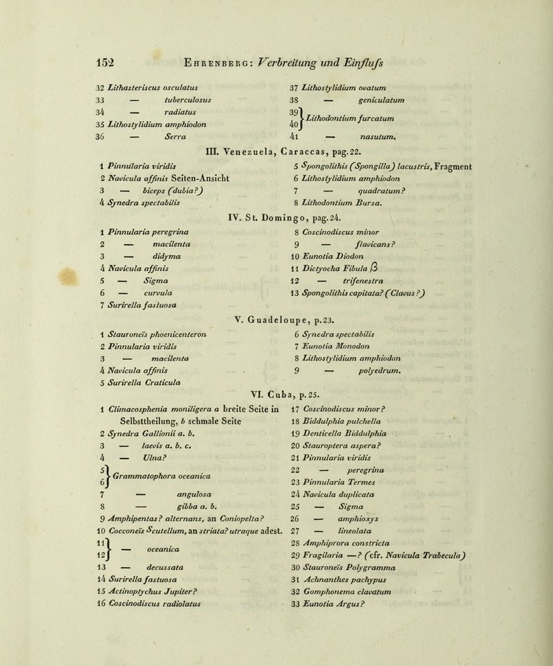 32 Lithasteriscus osculatus 33 — tuberculosus 34 — radiatus 35 Lithostylidium amphiodon 36 — Serra III. Venezuela, 1 Pinnularia viridis 2 Navicula affinis Seitcn-Ansiclit 3 — biceps Cdubia ?) 4 Synedra spectabilis IV. St. Don 1 Pinnularia peregrina 2 — macilenta 3 — didyma 4 Navicula affinis 5 — Sigma 6 — curvula 7 Surirella fasluosa V. Guade 37 Lithos tylidium ovatum 38 — geniculatum 39l ^ > Lilhodontium furcatum 4l — nasulum. Caraccas, pag.22. 5 Spongolilhis (Spongilla) lacustris, Fragment 6 Lithos tylidium amphiodon 7 — quadratum ? 8 Lilhodontium Bursa. ingo, pag.24. 8 Coscinodiscus minor 9 — flavicans? 10 Eunotia Diodon 11 Dictyocha Fibula (3 12 — trifenestra 13 Spongolithis capitata? (Clavus ?) oupe, p. 23. 1 Stauronei's phoenicenteron 2 Pinnularia viridis 3 — macilenta 4 Navicula affinis 5 Surirella Craticula VI. Cub 1 Climacosphenia moniligera a breite Seite in Selbsttbellung, b schmale Seite 2 Synedra Gallionii a. b. 3 — laevis a. b. c. 4 — Ulna? Grammatophora oceanica 3 7 — angulosa 8 — gibba a. b. 9 Ampliipentas? alternans, an Coniopella? 10 Coccone'is Scutellum, an striata? utraque adest. ll' 12 }- 13 — decussata 14 Surirella fastuosa 15 Actinoptychus Jupiter? 16 Coscinodiscus radiolalus 6 Synedra spectabilis 7 Eunotia Monodon 8 Litho stylidium amphiodon 9 — polyedrum. a, p. 25. 17 Coscinodiscus minor? 18 Biddulphia pu/chella 19 Denticella Biddulphia 20 Stauroptera aspera? 21 Pinnularia viridis 22 — peregrina 23 Pinnularia Termes 24 Navicula duplicata 25 — Sigma 26 — amphioxys 27 — lineolata 28 Amphiprora conslricla 29 Fragilaria —? fcfr. Navicula Trabecula) 30 Stauronei's Po/ygramma 31 Achnanthes pachypus 32 Gomphonerna clavatum 33 Eunotia Argus?