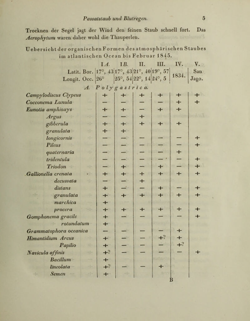 Trocknen der Segel jagt der Wind den feinen Staub schnell fort. Das Aerophytum waren daher wohl die Thauperlen. Uebersicht der organischen Formen des atmosphärischen Staubes im atlantischen Ocean bis Februar 1845. lA. Iß. II. III. IV. Latit. Bor. 17°, 43 17°, 43 21°, 40 19°, 57 1834. Longit. Occ. 26° 25°, 54 22°, 14 24°, 5 1 A. Polygastrica. Campylodiscus Clypeus + + + 4- 4- Cocconema Lunula — — — — 4- Eunotia amphioxys + — 4“ 4“ Argus — — gibberula + -H + 4- 4- granulata + + longicornis — — ^ — — — Pileus — — — — — quaternaria — — . — — 4- tridentula — j 1 Triodon . + — 4- Gallionella crenata + + 4- 4- decussata — — 4- distans + — — 4- — granulata H- + 4- 4- 4- marchica + procera + 4- 4- 4- Gomphonema gracile + — — — — rotundatum + Grammatophora oceanica — — — — 4“ Himantidium Arcus H- — — 4-? 4- Papilio + — — — 4-? JSavicula affinis +? — — — — Bacillum + lineolata +? — — 4- Semen 1 + V. San Jago. B