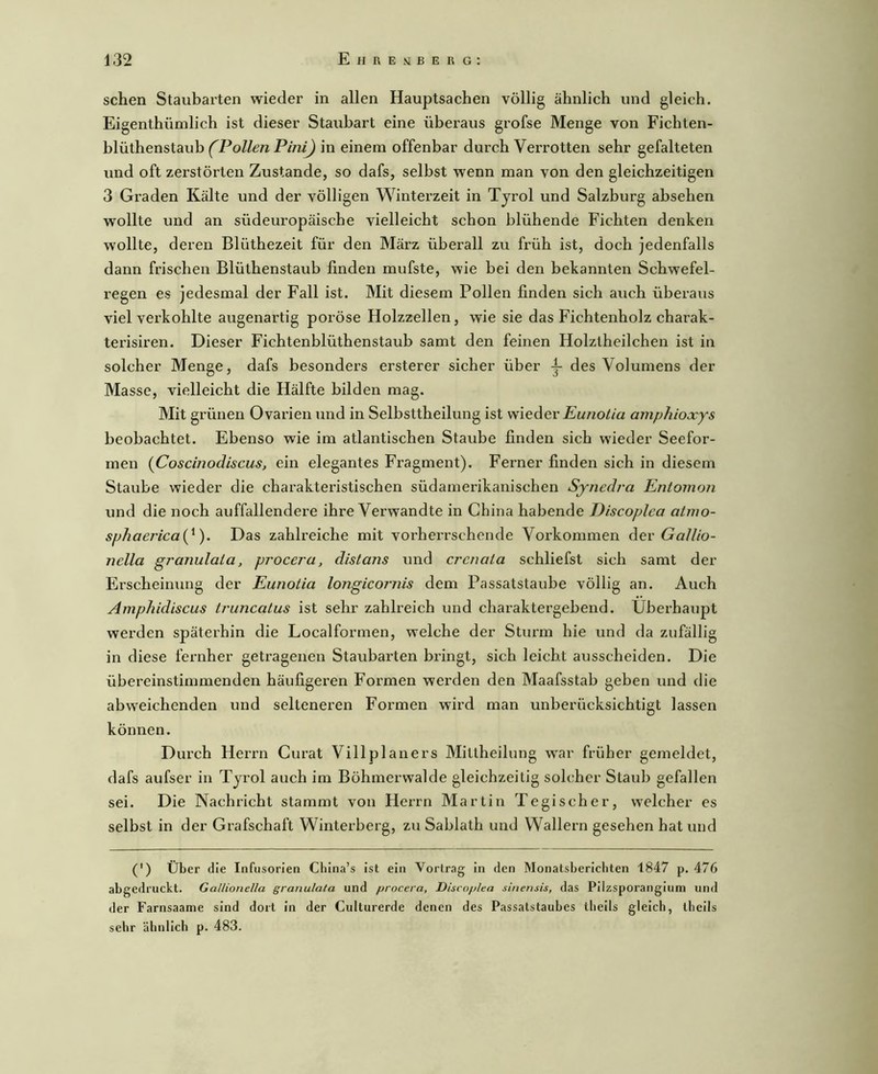 sehen Staubarten wieder in allen Hauptsachen völlig ähnlich und gleich. Eigenthümlich ist dieser Staubart eine überaus grofse Menge von Fichten- blüthenstaub (Pollen Pini) in einem offenbar durch Verrotten sehr gefalteten und oft zerstörten Zustande, so dafs, selbst wenn man von den gleichzeitigen 3 Gi’aden Kälte und der völligen Winterzeit in Tjrol und Salzburg absehen wollte und an südeuropäische vielleicht schon blühende Fichten denken wollte, deren Blüthezeit für den März überall zu früh ist, doch jedenfalls dann frischen Blüthenstaub linden mufste, wie bei den bekannten Schwefel- regen es jedesmal der Fall ist. Mit diesem Pollen finden sich auch überaus viel verkohlte augenartig poröse Holzzellen, wie sie das Fichtenholz charak- terisiren. Dieser Fichtenblüthenstaub samt den feinen Holztheilchen ist in solcher Menge, dafs besonders ersterer sicher über y des Volumens der Masse, vielleicht die Hälfte bilden mag. Mit grünen Ovarien und in Selbsttheilung ist 'Niediev Eunotia amphioxys beobachtet. Ebenso wie im atlantischen Staube finden sich wieder Seefor- men {Coscinodiscus, ein elegantes Fragment). Ferner finden sich in diesem Staube wieder die chai'akteristischen südamerikanischen Synedra Entomon und die noch auffallendere ihre Verwandte in China habende Discopica atmo- sphaerica{^). Das zahlreiche mit vorheiTschende Vorkommen dev Gallio- nella granulata, procera, distans und crenata schliefst sich samt der Erscheinung der Eunotia longicornis dem Passatstaube völlig an. Auch Amphidiscus tvuncaLus ist sehr zahlreich und charaktergebend, überhaupt werden späterhin die Localformen, welche der Sturm hie und da zufällig in diese fernher getragenen Staubarten bringt, sich leicht ausscheiden. Die übereinstimmenden häufigeren Formen werden den Maafsstab geben und die abweichenden und selteneren Formen wird man unberücksichtigt lassen können. Durch Herrn Curat Villplaners Mittheilung war früher gemeldet, dafs aufser in Tjrol auch im Böhmerwalde gleichzeitig solcher Staub gefallen sei. Die Nachricht stammt von Herrn Martin Tegischer, welcher es selbst in der Grafschaft Winterberg, zu Sablath und Wallern gesehen hat und (') Über die Infusorien China’s ist ein Vortrag in den Monatsberichten 1847 p. 476 abgedruckt. Gallionella granulata und procera, Discoplea sinensis, das Pilzsporangium und der Farnsaame sind dort in der Culturerde denen des Passaistaubes tbeils gleich, theils sehr ähnlich p. 483.