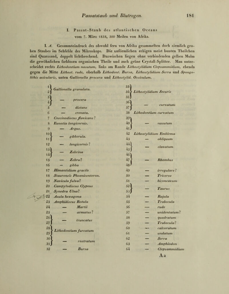 I. Passat-Staub des atlantischen üceans vom 7. März 1838, 300 Meilen von Afrika. I. Gesammteindruck des obwohl fern von Afrika gesammelten doch ziemlich gro- ben Staubes im Sehfelde des Mikroskops. Die unförmlichen eckigen meist bunten Theilchen sind Quarzsand, doppelt lichtbrechend. Dazwischen liegen ohne verbindenden gelben Mulm die gewöhnlichen farblosen organischen Theile und auch grüne Crystall-Splitter. Man unter- scheidet rechts Lithodontium nasutum, links am Rande Lithostylidium Clepsammidium, ebenda gegen die Mitte Lithost. rüde, oberhalb Lithodont. Bursa, Lithos tylidium Serra und Spongo- lithis acicularis, unten Gallionella procera und Lithostylid. Ossiculum. ll 33] > ■ Gallionella granulata. 2| 34 > Lithostylidium Securis 31 35) 4f — procera 36l Jöl _ curvatum 5 — distans 37/ 6 — crenata. 38 Lithodontium curvatum 7 Coscinodiscus flavicans ? 39-| 8 Eunotia longicornis. 4oj- — nasutum 9 — Argus. 4ij lol 42 Lithostylidium Emblema — gibberula. llf 43 — obliquum 12 — longicornis ? 44l , f — clavatum 13l 45) , i • — Zebrina i4i 461 15 — Zebrat 47[ Rhombus 16 — gibba 48^ 17 Himantidium gracile 49 — irreguläre ? 18 Stauroneis Phoenicenteron. 50 — Triceros 19 Navicula fulva ? 51 — biconcavum 20 Campylodiscus Clypeus Taurus 2t Synedra Ulnal 53J -22 Asula hexagona 54 — Rajula 23 Amphidiscus Rotula 55 — Trabecula 24 — Martii 56 — rüde 25 — armatus ? 57 — unidentatum ? 26l 58 — quadratum 27 1 ^ trunc^iitiMs 59 — Trabecula ? 281 L r. . , 60 — calcoratum 29J r Lithodontium furcatum 61 — undatum 30l 1 62 — Serra r — rostratum 3lJ \ 63 — Amphiodon 32 — Bursa 64 — Clepsammidium Aa