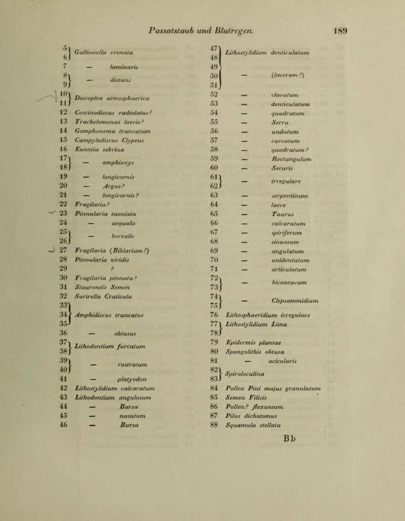 47 \ 6} Gallionella crenata 48| Lithostylidium denticulalum 7 — laminaris 49} 501 {lacerum ?) ^ \ — distans 1 9J 5lJ lOl Discoplea almosphaerica 52 — clavaturn llj 53 — denticulatuui 12 Coscinodiscus radiolatus? 54 — quadratum 13 Trachelomonas laevis? 55 — Serra 14 Gomphnnema truncatum 56 — undalum 15 Campylodiscus Clypeus 57 — curvatum 16 Eunolia zebrina 58 — quadratum ? 17| — amphioxys 59 — Rectangulum 18J 60 — Securis 19 — longicornis 61| irreguläre 20 — Argus ? 62 J 21 — longicornis? 63 — serpentinum 22 Fragilaria ? 64 — laeve 23 Pinnularia taeniata 65 — Taurus 24 — aequalis 66 — calcaraturn 25. — borealis 67 — spiriferum 26 J 68 — sinuosurn 27 Fragilaria {Biblarium?') 69 — angulatum 28 Pinnularia viridis 70 — unidenlalum 29 ? 71 — articulatum 30 Fragilaria pinnata ? biconcavum 31 Stauroneis Semen 73] 32 Surirella Craticula 74. 331 75} Clepsammidium 34 [ ■ Amphidiscus truncatus 76 Lithosphaeridium irreguläre 35J 77] Lilhoslylidium Lima 36 — obtusus 78J 37. . Lithodontium furcatum 79 Epidermis plantae 38] 80 Spongolithis obtusa 39. 81 acicularis Afii — rostratum 4U J öjl Spiroloculina 41 — platyodon 83 i 42 Lilhoslylidium calcaratuin 84 Pollen Pini majus granulatum 43 Lithodontium angulosum 85 Semen Filicis 44 — Bursa 86 Pollen ? flexuosum 45 — nasutum 87 Pilus dichotomus 46 — Bursa 88 Squamula stellata Bb