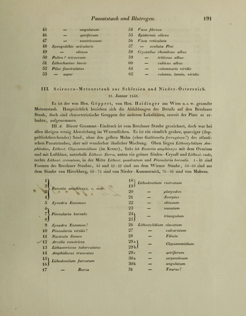 45 — angulatum 54 asa fibrosa 46 — spiriferum 55 Epidermis silicea 47 — ventricosum 56 Vasa reticulata 48 Spongo/itfns acicularis 57 — ocellata Pini 49 — obtusa 58 Crystallus rhombeus albus 50 Pollen ? tricoccum 59 — triticeus albus 51 Lithochaetus laevis 60 — cubicus albus 52 Pilus fasciculatus 61 — columnaris viridis 53 — asper 62 — column. lamin. viridis III. Scirocco-Meteorstaub aus Schlesien und Nieder-Österreich. 31. Januar 1848. Es ist der von Hrn. Göppert, von Hrn. Haidinger aus Wien ii.s.w. gesandte Meteorstaub. Hauptsächlich beziehen sich die Abbildungen des Details auf den Breslauer Staub, doch sind characteristlsche Gruppen der anderen Lokalitäten, soweit der Platz es er- laubte, aufgenommen. III A. Dieser Gesammt-Eindruck ist vom Breslauer Staube gezeichnet, doch war bei allen übrigen wenig Abweichung im Wesentlichen. Es ist ein ziemlich grober, quarziger (dop- peltllchtbrechender) Sand, ohne den gelben Mulm (ohne Ga/lionel/a fern/gtnea?) des atlanti- schen Passatstaiibes, aber mit wunderbar ähnlicher Mischung. Oben liegen Lithostylidium Am- phiodon^ Lithost. Clepsammidium (im Kreuz), links Ist Eunotia arnphioxys mit dem Ovarlum und mit Luftblase, unterhalb Lithost. Serra., unten ein grüner Säulen - Crysall nnA Lithost. rüde., rechts Lithost. crenatum., in der Mitte Lithost. quadratum und Pinnularia borealis. 1 -4s sind Formen des Breslauer Staubes, 44 und 49-59 sind aus dem Wiener Staube, 60-68 sind aus dem Staube von Hirschberg, 69-75 sind von Nieder - Kummernick, 76-86 sind von Muhrau. t Eunotia arnphioxys, c. ovär. 181 19J Lithodontium rostraturn Nöl [ * . 20 — platyodon 4J 21 — Scorpius 5 Synedra Entomon 22 — obtusum 1 23 — nasutum s] L Pinnularia borealis 24a 25 J — triangulum 9 Synedra Entomon“? 26 Lithostylidium \ claoatum 10 Pinnularia viridis ? 27 — calcaratum 11 Navicula Semen 28 — Fibula 12 13 Arcella conslricta Lithasteriscus tuberculatus 29 a 29 b } - Clepsammidium 14 Amphidiscus truncatus 29 c — spiriferum 15) |. Lithodontium furcatum 30a — serpentinum 16j 30 b — angulatum 17 — Bursa 31 — Taurus?