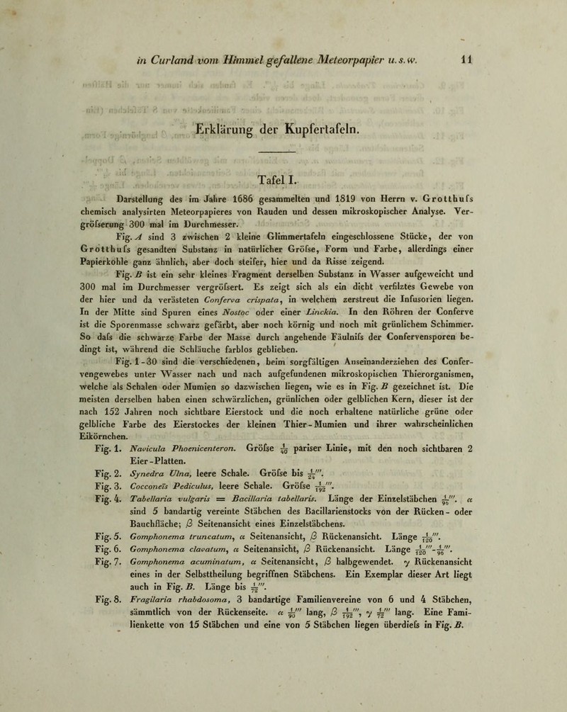 H bltjiiii’ 8 i>v/ *>»Juoiii*nr- ' .r /. Erklärung der Kupfertafeln. Tafel I. Darstellung des im Jahre 1686 gesammelten und 1819 von Herrn v. Grotthufs chemisch analysirten Meteorpapieres yon Räuden und dessen mikroskopischer Analyse. Ver- gröfserung 300 mal Im Durchmesser. Fig. A sind 3 zwischen 2 kleine Glimmertafeln eingeschlossene Stücke, der von Grotthufs gesandten Substanz in natürlicher Gröfse, Form und Farbe, allerdings einer Papierkohle ganz ähnlich, aber doch steifer, hier und da Risse zeigend. Fig. B ist ein sehr kleines Fragment derselben Substanz in Wasser aufgeweicht und 300 mal im Durchmesser vergröfsert. Es zeigt sich als ein dicht verfdztes Gewebe von der hier und da verästeten Conferva crispata, in welchem zerstreut die Infusorien liegen. In der Mitte sind Spuren eines Nostoc oder einer Linckia. In den Röhren der Conferve ist die Sporenmasse schwarz gefärbt, aber noch körnig und noch mit grünlichem Schimmer. So dafs die schwarze Farbe der Masse durch angehende Fäulnifs der Confervensporen be- dingt ist, während die Schläuche farblos geblieben. Fig. 1-30 sind die verschiedenen, beim sorgfältigen Anseinanderziehen des Confer- vengewebes unter Wasser nach und nach aufgefundenen mikroskopischen Thierorganismen, welche als Schalen oder Mumien so dazwischen liegen, wie es in Fig. B gezeichnet ist. Die meisten derselben haben einen schwärzlichen, grünlichen oder gelblichen Kern, dieser ist der nach 152 Jahren noch sichtbare Eierstock und die noch erhaltene natürliche grüne oder gelbliche Farbe des Eierstockes der kleinen Thier-Mumien und ihrer wahrscheinlichen Eikörnchen. Fig. 1. Navicula Phoenicenteron. Gröfse ^ pariser Linie, mit den noch sichtbaren 2 Eier-Platten. Fig. 2. Synedra Ulna, leere Schale. Gröfse bis j-. Fig. 3. Cocconei's Pediculus, leere Schale. Gröfse Fig. 4. Tabellaria vulgaris = Bacillaria tabellaris. Länge der Einzelstäbchen « sind 5 bandartig vereinte Stäbchen des Bacillarienstocks von der Rücken- oder Bauchfläche; ß Seitenansicht eines Einzelstäbchens. Fig. 5. Gomphonema truncatum, a Seitenansicht, ß Rückenansicht. Länge jIö ”* Fig. 6. Gomphonema clavatum, n Seitenansicht, ß Rückenansicht. Länge ^w. Fig. 7. Gomphonema acuminatum, a Seitenansicht, ß halbgewendet, y Rückenansicht eines in der Selbsttheilung begriffnen Stäbchens. Ein Exemplar dieser Art liegt auch in Fig. B. Länge bis . Fig. 8. Fragilaria rhabdosoma, 3 bandartige Familienvereine von 6 und 4 Stäbchen, sämmtlich von der Rückenseite. « lang, ß 7 js lang- ^‘ne Fami- lienkette von 15 Stäbchen und eine von 5 Stäbchen liegen überdiefs in Fig. B.