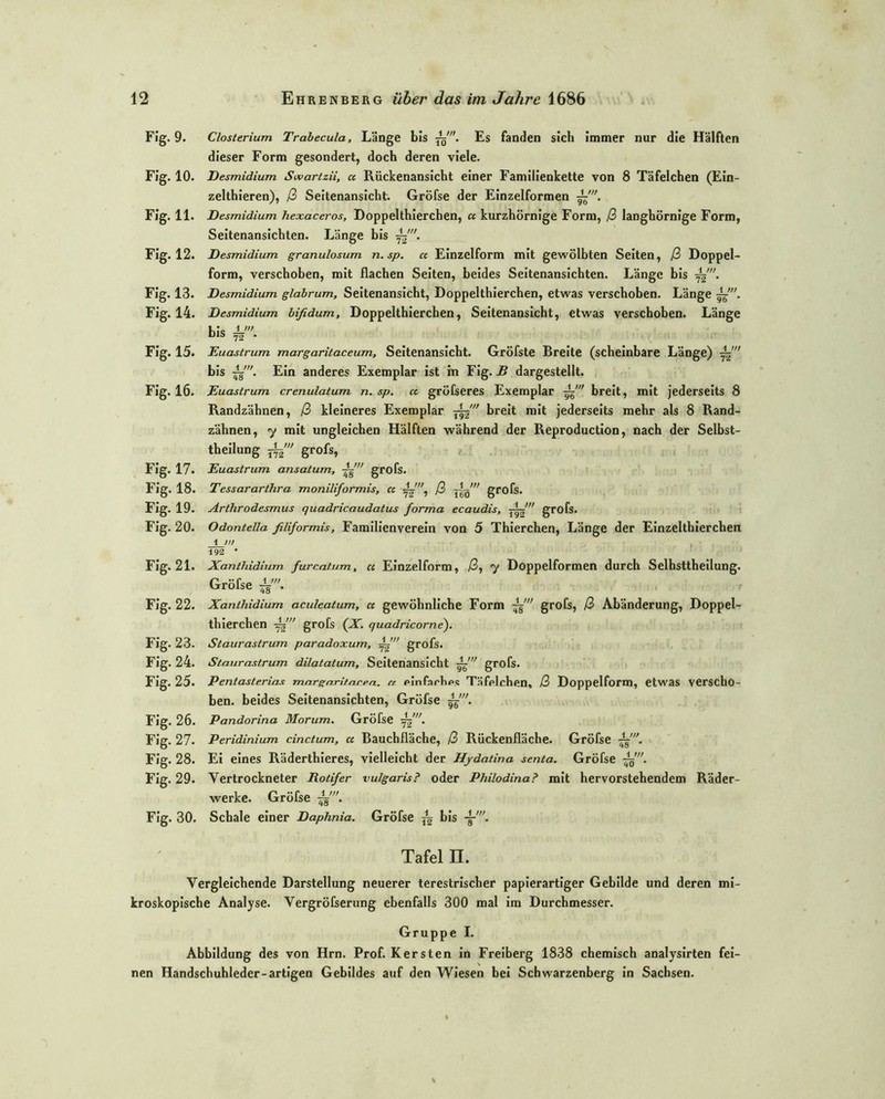 Fig. 9. Closterium Trabecula, Länge bis ff. Es fanden sich immer nur die Hälften dieser Form gesondert, doch deren viele. Fig. 10. Desmidium Swartzii, « Rückenansicht einer Familienkette von 8 Täfelchen (Ein- zelthieren), ß Seitenansicht. Gröfse der Einzelformen ff. Fig. 11. Desmidium hexaceros, Doppelthierchen, ct kurzhörnige Form, ß langhörnige Form, Seitenansichten. Länge bis ff”. Fig. 12. Desmidium granulosum n.sp. « Einzelform mit gewölbten Seiten, ß Doppel- form, verschoben, mit flachen Seiten, beides Seitenansichten. Länge bis ff. Fig. 13. Desmidium glabrum, Seitenansicht, Doppelthierchen, etwas verschoben. Länge ff. Fig. 14. Desmidium bifidum, Doppelthierchen, Seitenansicht, etwas verschoben. Länge bis ff. Fig. 15. Euastrum margaritaceum, Seitenansicht. Gröfste Breite (scheinbare Länge) ff bis ff. Ein anderes Exemplar ist in Fig. B dargestellt. Fig. 16. Euastrum crenulatum n. sp. a gröfseres Exemplar ff breit, mit jederseits 8 Randzähnen, ß kleineres Exemplar dLJ breit mit jederseits mehr als 8 Rand- zähnen, y mit ungleichen Hälften während der Reproduction, nach der Selbst- theilung -faf” grofs, Fig. 17. Euastrum ansatum, ff grofs. Fig. 18. Tessararthra moniliformis, ct ff, ß ~f grofs. Fig. 19. Arthrodesmus quadricaudatus forma ecaudis, jff grofs. Fig. 20. Odontella ßliformis, Familienverein von 5 Thierchen, Länge der Einzelthierchen l m i 192 • Fig. 21. Xanthidium furcatum, a Einzelform, ß, y Doppelformen durch Selhsttheilung. Gröfse ff. Fig. 22. Xanthidium aculeatum, ct gewöhnliche Form ff grofs, ß Abänderung, Doppel- thierchen ff grofs (X. quadricorne). Fig. 23. Staurastrum paradoxum, ff grofs. Fig. 24. Staurastrum dilatatum, Seitenansicht ff” grofs. Fig. 25. Pentasterias ma.rgnritar.ea. tz pinfachps Täfelchen, ß Doppelform, etwas verscho- ben. beides Seitenansichten, Gröfse ff. Fig. 26. Pandorina Morum. Gröfse ff. Fig. 27. Peridinium cinctum, a Bauchfläche, ß Rückenfläche. Gröfse ff. Fig. 28. Ei eines Räderthieres, vielleicht der Hydatina senta. Gröfse ff. Fig. 29. Vertrockneter Rotifer vulgaris? oder Philodina? mit hervorstehendem Räder- werke. Gröfse ff. Fig. 30. Schale einer Daphnia. Gröfse f^ bis -f'. Tafel n. Vergleichende Darstellung neuerer terestrischer papierartiger Gebilde und deren mi- kroskopische Analyse. Vergröfserung ebenfalls 300 mal im Durchmesser. Gruppe I. Abbildung des von Hrn. Prof. Kersten in Freiberg 1838 chemisch analysirten fei- nen Handschuhleder-artigen Gebildes auf den Wiesen bei Schwarzenberg in Sachsen.