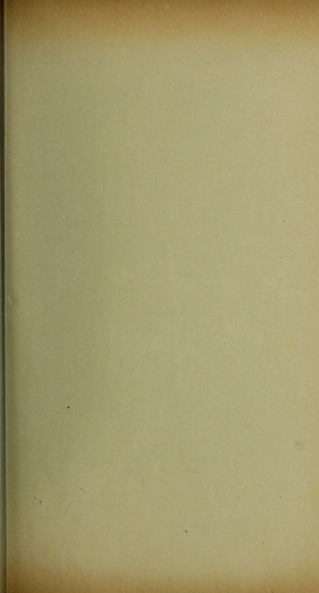 digitised image 3