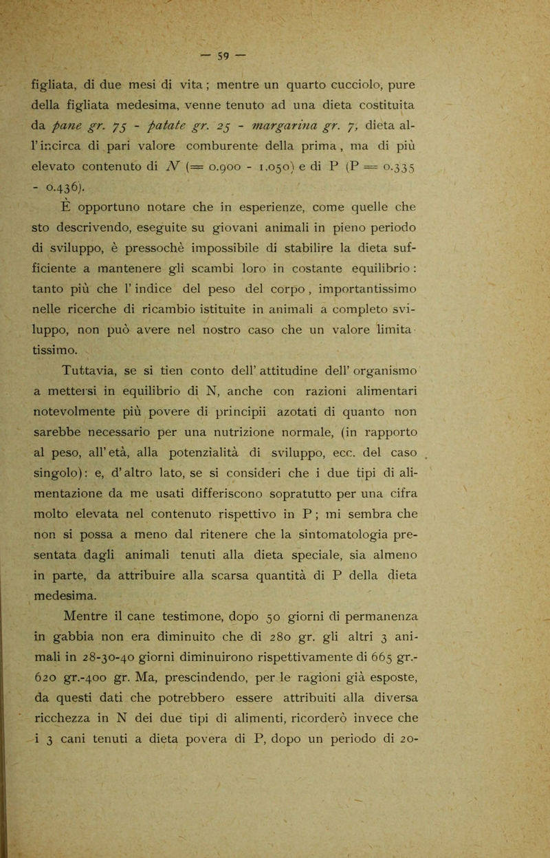 figliata, di due mesi di vita ; mentre un quarto cucciolo, pure della figliata medesima, venne tenuto ad una dieta costituita da pane gr. 75 - patate gr. 25 - margarina gr. 7, dieta al- l’incirca di pari valore comburente della prima, ma di più elevato contenuto di N {— 0.900 - 1.050) e di P (P — 0.335 - 0.436). È opportuno notare che in esperienze, come quelle che sto descrivendo, eseguite su giovani animali in pieno periodo di sviluppo, è pressoché impossibile di stabilire la dieta suf- ficiente a mantenere gli scambi loro in costante equilibrio : tanto più che l’indice del peso del corpo , importantissimo nelle ricerche di ricambio istituite in animali a completo svi- luppo, non può avere nel nostro caso che un valore limita tissimo. Tuttavia, se si tien conto dell’ attitudine dell’ organismo a mettersi in equilibrio di N, anche con razioni alimentari notevolmente più povere di principii azotati di quanto non sarebbe necessario per una nutrizione normale, (in rapporto al peso, all’età, alla potenzialità di sviluppo, ecc. del caso singolo): e, d’altro lato.se si consideri che i due tipi di ali- mentazione da me usati differiscono sopratutto per una cifra molto elevata nel contenuto rispettivo in P ; mi sembra che non si possa a meno dal ritenere che la sintomatologia pre- sentata dagli animali tenuti alla dieta speciale, sia almeno in parte, da attribuire alla scarsa quantità di P della dieta medesima. Mentre il cane testimone, dopo 50 giorni di permanenza in gabbia non era diminuito che di 280 gr. gli altri 3 ani- mali in 28-30-40 giorni diminuirono rispettivamente di 665 gr.- 620 gr.-40o gr. Ma, prescindendo, per le ragioni già esposte, da questi dati che potrebbero essere attribuiti alla diversa ricchezza in N dei due tipi di alimenti, ricorderò invece che i 3 cani tenuti a dieta povera di P, dopo un periodo di 20-