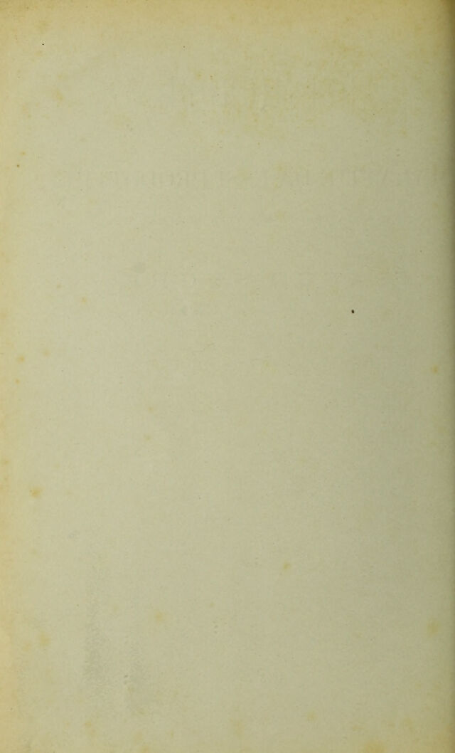 digitised image 2