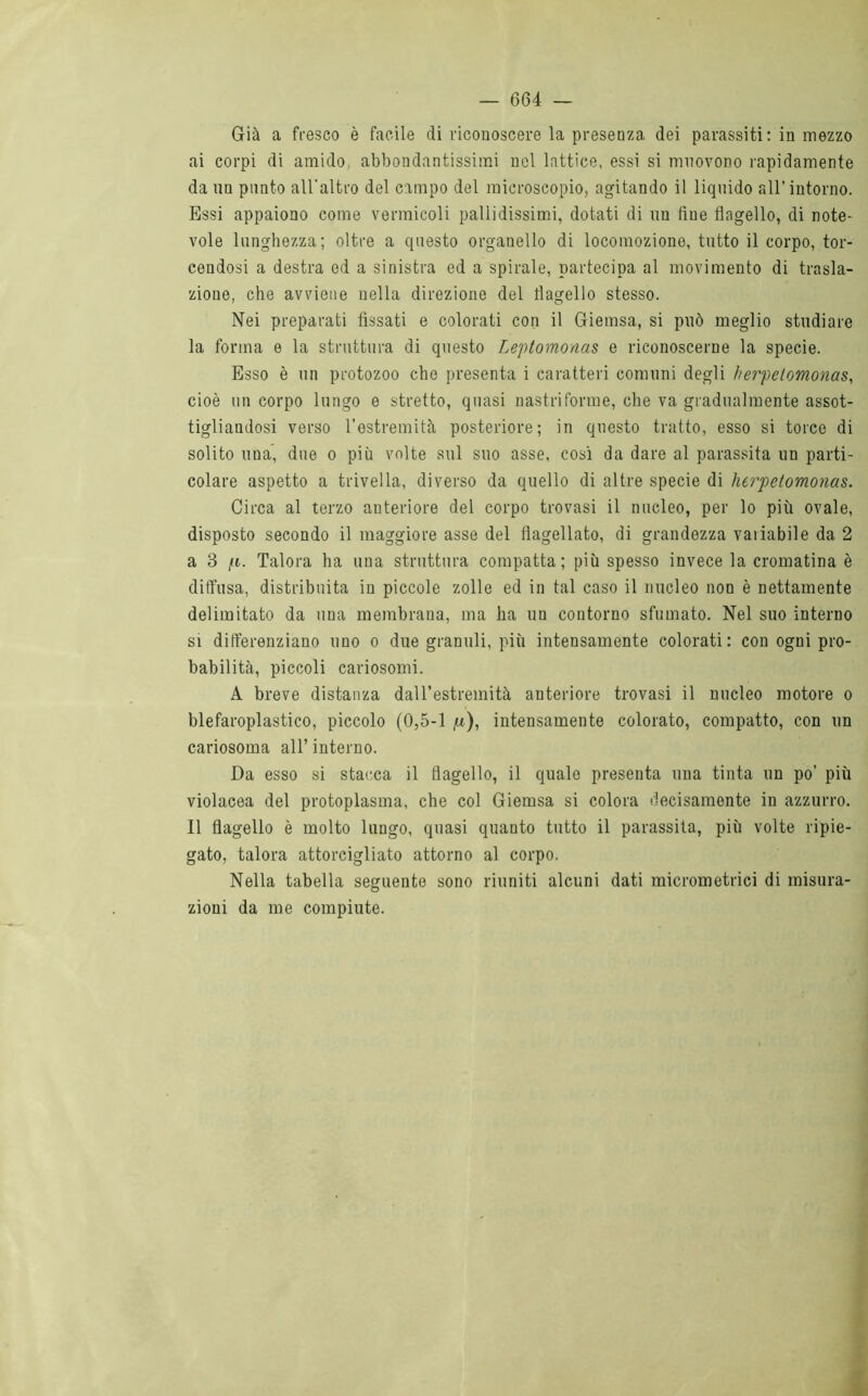 — 604 — Già a fresco è facile di riconoscere la presenza dei parassiti: in mezzo ai corpi di amido, abbondantissimi nel lattice, essi si muovono rapidamente da un punto all'altro del campo del microscopio, agitando il liquido all’intorno. Essi appaiono come vermicoli pallidissimi, dotati di un fine flagello, di note- vole lunghezza; oltre a questo organello di locomozione, tutto il corpo, tor- cendosi a destra od a sinistra ed a spirale, partecipa al movimento di trasla- zione, che avviene nella direzione del flagello stesso. Nei preparati fissati e colorati con il Giemsa, si può meglio studiare la forma e la struttura di questo Leptomonas e riconoscerne la specie. Esso è un protozoo che presenta i caratteri comuni degli herpetomonas, cioè un corpo lungo e stretto, quasi nastriforme, che va gradualmente assot- tigliandosi verso l’estremità posteriore; in questo tratto, esso si torce di solito una, due o più volte sul suo asse, così da dare al parassita un parti- colare aspetto a trivella, diverso da quello di altre specie di herpetomonas. Circa al terzo anteriore del corpo trovasi il nucleo, per lo più ovale, disposto secondo il maggiore asse del flagellato, di grandezza variabile da 2 a 3 /i. Talora ha una struttura compatta; più spesso invece la cromatina è diffusa, distribuita in piccole zolle ed in tal caso il nucleo non è nettamente delimitato da una membrana, ma ha un contorno sfumato. Nel suo interno si differenziano uno o due granuli, più intensamente colorati: con ogni pro- babilità, piccoli cariosomi. A breve distanza dall’estremità anteriore trovasi il nucleo motore o blefaroplastico, piccolo (0,5-1 p), intensamente colorato, compatto, con un cariosoma all’ interno. Da esso si stacca il flagello, il quale presenta una tinta un po’ più violacea del protoplasma, che col Giemsa si colora decisamente in azzurro. Il flagello è molto lungo, quasi quanto tutto il parassita, più volte ripie- gato, talora attorcigliato attorno al corpo. Nella tabella seguente sono riuniti alcuni dati micrometrici di misura- zioni da me compiute.