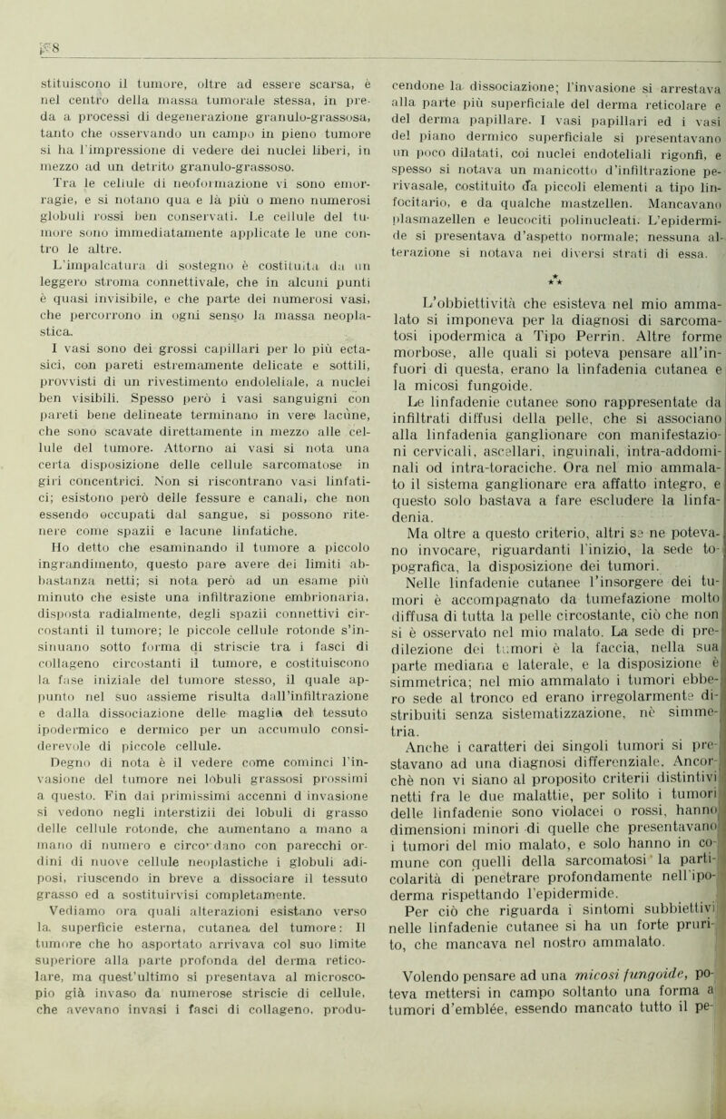 nel centro della massa tumorale stessa, in pre- da a processi di degenerazione granulo-grassosa, tanto che osservando un campo in pieno tumore si ha l'impressione di vedere dei nuclei liberi, in mezzo ad un detrito granulo-grassoso. Tra le cellule di neoformazione vi sono emor- ragie, e si notano qua e là più o meno numerosi globuli rossi ben conservati. Le cellule del tu- more sono immediatamente applicate le une con- tro le altre. L’impalcatura di sostegno è costituita da un leggero stroma connettivale, che in alcuni punti è quasi invisibile, e che parte dei numerosi vasi, che percorrono in ogni senso la massa neopla- stica. I vasi sono dei grossi capillari per lo più ecta- sici, con pareti estremamente delicate e sottili, provvisti di un rivestimento endoleliale, a nuclei ben visibili. Spesso però i vasi sanguigni con pareti bene delineate terminano in vere lacune, che sono scavate direttamente in mezzo alle cel- lule del tumore. Attorno ai vasi si nota una certa disposizione delle cellule sarcoinatose in giri concentrici. Non si riscontrano vasi linfati- ci; esistono però delle fessure e canali, che non essendo occupati dal sangue, si possono rite- nere come spazii e lacune linfatiche. Ho detto che esaminando il tumore a piccolo ingrandimento, questo pare avere dei limiti ab- bastanza netti; si nota però ad un esame più minuto che esiste una infiltrazione embrionaria, disposta radialmente, degli spazii connettivi cir- costanti il tumore; le piccole cellule rotonde s’in- sinuano sotto forma di striscie tra i fasci di collageno circostanti il tumore, e costituiscono la fase iniziale del tumore stesso, il quale ap- punto nel suo assieme risulta dall’infiltrazione e dalla dissociazione delle maglia del tessuto ipodermico e dermico per un accumulo consi- derevole di piccole cellule. Degno di nota è il vedere come cominci l'in- vasione del tumore nei lobuli grassosi prossimi a questo. Fin dai primissimi accenni d invasione si vedono negli interstizii dei lobuli di grasso delle cellule rotonde, che aumentano a mano a mano di numero e circondano con parecchi or- dini di nuove cellule neoplastiche i globuli adi- posi, riuscendo in breve a dissociare il tessuto grasso ed a sostituirvisi completamente. Vediamo ora quali alterazioni esistano verso la, superficie esterna, cutanea del tumore : Il tumore che ho asportato arrivava col suo limite superiore alla parte profonda del derma retico- lare, ma quest’ultimo si presentava al microsco- pio già invaso da numerose striscie di cellule, che avevano invasi i fasci di collageno, produ- cendone la dissociazione; l’invasione si arrestava alla parte più superficiale del derma reticolare e del derma papillare. I vasi papillari ed i vasi del piano dermico superficiale si presentavano un poco dilatati, coi nuclei endoteliali rigonfi, e spesso si notava un manicotto d’infiltrazione pe- rmasale, costituito <fa piccoli elementi a tipo lin- focitario, e da qualche mastzellen. Mancavano plasma.zellen e leucociti polinucleati. L’epidermi- de si presentava d’aspetto normale; nessuna al- terazione si notava nei diversi strati di essa. L’obbiettività che esisteva nel mio amma- lato si imponeva per la diagnosi di sarcoma- tosi ipodermica a Tipo Perrin. Altre forme morbose, alle quali si poteva pensare all’in- fuori di questa, erano la linfadenia cutanea e la micosi fungoide. Le linfadenie cutanee sono rappresentate da infiltrati diffusi della pelle, che si associano alla linfadenia ganglionare con manifestazio- ni cervicali, ascellari, inguinali, intra-addomi- nali od intra-toraciche. Ora nel mio ammala- to il sistema ganglionare era affatto integro, e questo solo bastava a fare escludere la linfa- denia. Ma oltre a questo criterio, altri se ne poteva- no invocare, riguardanti l'inizio, la sede to- pografica, la disposizione dei tumori. Nelle linfadenie cutanee l’insorgere dei tu- mori è accompagnato da tumefazione molto diffusa di tutta la pelle circostante, ciò che non si è osservato nel mio malato. La sede di pre-| dilezione dei tumori è la faccia, nella sua parte mediana e laterale, e la disposizione èj simmetrica; nel mio ammalato i tumori ebbe- ro sede al tronco ed erano irregolarmente di- stribuiti senza sistematizzazione, nè simme-^ tria. Anche i caratteri dei singoli tumori si pre-j stavano ad una diagnosi differenziale. Ancor- ché non vi siano al proposito criterii distintivi netti fra le due malattie, per solito i tumori delle linfadenie sono violacei o rossi, hanno dimensioni minori di quelle che presentavano* i tumori del mio malato, e solo hanno in co-J mune con quelli della sarcomatosi la parti- q colarità di penetrare profondamente nell’ipo- derma rispettando l’epidermide. Per ciò che riguarda i sintomi subbiettivi nelle linfadenie cutanee si ha un forte pruri- to, che mancava nel nostro ammalato. Volendo pensare ad una micosi fungoide, po- teva mettersi in campo soltanto una forma a tumori d’emblée, essendo mancato tutto il pe-