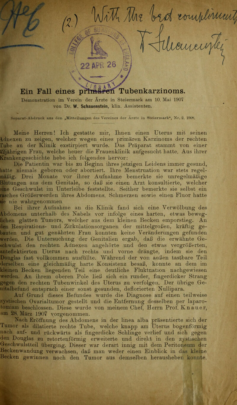 Ein Fall eines prh»«ai>eii Tubenkarzinoms. Demonstration im Verein der Ärzte in Steiermai'k am 10. Mai 1907 von Dr. W. Schauenstein, klin. Assistenten. Separat-Abdruck aus den „Mitteilungen des Vereines der Arzte in Steiermark“, Nr. ‘2. 1908. Meine Herren! Ich gestatte mir, Ihnen einen Uterus mit seinen Adnexen zu zeigen, welcher wegen eines primären Karzinoms der rechten hübe an der Klinik exstirpiert wurde. Das Präparat stammt von einer 12jährigen Frau, welche heuer die Frauenklinik aufgesucht hatte. Aus ihrer Krankengeschichte hebe ich folgendes hervor: Die Patientin war bis zu Beginn ihres jetzigen Leidens immer gesund, batte niemals geboren oder abortiert. Ihre Menstruation war stets regel- mäßig. Drei Monate vor ihrer Aufnahme bemerkte sie unregelmäßige Blutungen aus dem Genitale, so daß sie einen Arzt konsultierte, welcher eine Geschwulst im Unterleibe feststellte. Seither bemerkte sie selbst ein rasches Größerwerden ihres Abdomens. Schmerzen sowie einen Fluor hatte sie nie wahrgenommen I. Bei ihrer Aufnahme an die Klinik fand sich eine Verwölbung des Abdomens unterhalb des Nabels vor infolge eines harten, etwas beweg- lichen glatten Tumors, welcher aus dem kleinen Becken emporstieg. An den Respirations- und Zirkulationsorganen der mittelgroßen, kräftig ge- ballten und gut genährten Frau konnten keine Veränderungen gefunden werden. Die Untersuchung der Genitalien ergab, daß die erwähnte Ge- schwulst den rechten Adnexen angehörte und den etwas vergrößerten, anteflektierten Uterus nach rechts und vorne drängte, indem sie den Douglas fast vollkommen ausfüllte. Während der von außen tastbare Teil derselben eine gleichmäßig harte Konsistenz besaß, konnte an dem im kleinen Becken liegenden Teil eine deutliche Fluktuation nachgewiesen werden. An ihrem oberen Pole ließ sich ein runder, fingerdicker Strang gegen den rechten Tubenwinkel des Uterus zu verfolgen. Der übrige Ge- nitalbefund entsprach einer sonst gesunden, deflorierten Nullipara. Auf Grund dieses Befundes wurde die Diagnose auf einen teilweise zystischen Ovarialtumor gestellt und die Entfernung desselben per laparo- tomiarn beschlossen. Diese wurde von meinem Chef, Herrn Prof. Knauer, am 28. März 1907 vorgenommen. Nach Eröffnung des Abdomens in der linea alba präsentierte sich der Tumor als dilatierte rechte Tube, welche knapp am Uterus bogenförmig nach auf- und rückwärts als fingerdicke Schlinge verlief und sich gegen den Douglas zu retortenförmig erweiterte und direkt in den zystischen Geschwulstteil überging. Dieser war derart innig mit dem Peritoneum der Beckenwandung verwachsen, daß man weder einen Einblick in das kleine Becken gewinnen noch den Tumor aus demselben herausheben konnte.