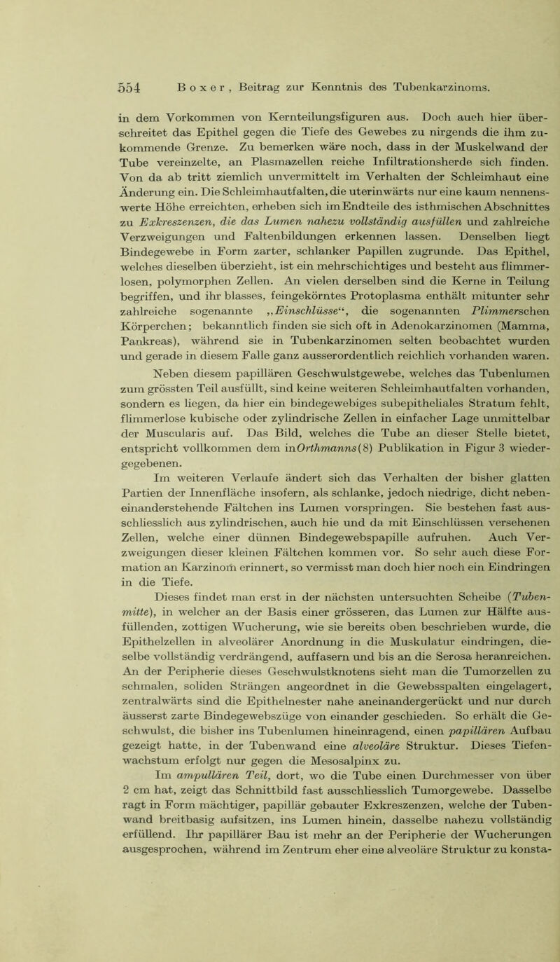 in dem Vorkommen von Kernteilungsfiguren aus. Doch auch hier üher- schreitet das Epithel gegen die Tiefe des Gewebes zu nirgends die ihm zu- kommende Grenze. Zu bemerken wäre noch, dass in der Muskelwand der Tube vereinzelte, an Plasmazellen reiche Infiltrationsherde sich finden. Von da ab tritt ziemlich unvermittelt im Verhalten der Schleimhaut eine Änderung ein. Die Schleimhautfalten, die uterinwärts nur eine kaum nennens- werte Höhe erreichten, erheben sich im Endteile des isthmischen Abschnittes zu Exkreszenzen, die das Lumen nahezu vollständig ausfüllen und zahlreiche Verzweigungen und Faltenbildungen erkennen lassen. Denselben liegt Bindegewebe in Form zarter, schlanker Papillen zugrunde. Das Epithel, welches dieselben überzieht, ist ein mehrschichtiges und besteht aus flimmer- losen, polymorphen Zellen. An vielen derselben sind die Kerne in Teilung begriffen, und ihr blasses, feingekörntes Protoplasma enthält mitunter sehr zahlreiche sogenannte „Einschlüsse^^, die sogenannten PlimmerBch&a Körperchen; bekanntlich finden sie sich oft in Adenokarzinomen (Mamma, Pankreas), während sie in Tubenkarzinomen selten beobachtet wurden und gerade in diesem Falle ganz ausserordentlich reichlich vorhanden waren. Neben diesem papillären Geschwulstgewebe, welches das Tubenlumen zum grössten Teil ausfüllt, sind keine weiteren Schleimhautfalten vorhanden, sondern es hegen, da hier ein bindegewebiges subepithehales Stratum fehlt, flimmerlose kubische oder zylindrische Zellen in einfacher Lage unmittelbar der Muscularis auf. Das Bild, welches die Tube an dieser Stelle bietet, entspricht vollkommen dem vn.Orthmanns{i) Publikation in Figirr .3 wieder- gegebenen. Im weiteren Verlaufe ändert sich das Verhalten der bislier glatten Partien der Innenfläche insofern, als schlanke, jedoch niedrige, dicht neben- einanderstehende Fältchen ins Lumen vorspringen. Sie bestehen fast aus- schliesslich aus zylindrischen, auch hie und da mit Einschlüssen versehenen Zellen, welche einer dünnen Bindegewebspapille aufruhen. Auch Ver- zweigungen dieser kleinen Fältchen kommen vor. So sehr auch diese For- mation an Karzinom erinnert, so vermisst man doch hier noch ein Eindringen in die Tiefe. Dieses findet man erst in der nächsten untersuchten Scheibe {Tuben- mitte), in welcher an der Basis einer grösseren, das Lumen zur Hälfte aus- füllenden, zottigen Wucherung, wie sie bereits oben beschrieben wurde, die Epithelzellen in alveolärer Anordnung in die Muskulatur eindringen, die- selbe vollständig verdrängend, auffasern und bis an die Serosa heranreichen. An der Peripherie dieses Geschwulstknotens sieht man die Tumorzellen zu schmalen, soliden Strängen angeordnet in die Gewebsspalten eingelagert, zentralwärts sind die Epithelnester nahe aneinandergerückt und nur durch äusserst zarte Bindegewebszüge von einander geschieden. So erhält die Ge- schwulst, die bisher ins Tubenlumen hineinragend, einen papillären Aufbau gezeigt hatte, in der Tubenwand eine alveoläre Struktur. Dieses Tiefen- wachstum erfolgt nur gegen die Mesosalpinx zu. Im ampullären Teil, dort, wo die Tube einen Durchmesser von über 2 cm hat, zeigt das Schnittbild fast ausschliesslich Tumorgewebe. Dasselbe ragt in Form mächtiger, papillär gebauter Exkreszenzen, welche der Tuben- wand breitbasig aufsitzen, ins Lumen hinein, dasselbe nahezu vollständig erfüllend. Ihr papillärer Bau ist mehr an der Peripherie der Wucherungen ausgesprochen, während im Zentrum eher eine alveoläre Struktur zu konsta-