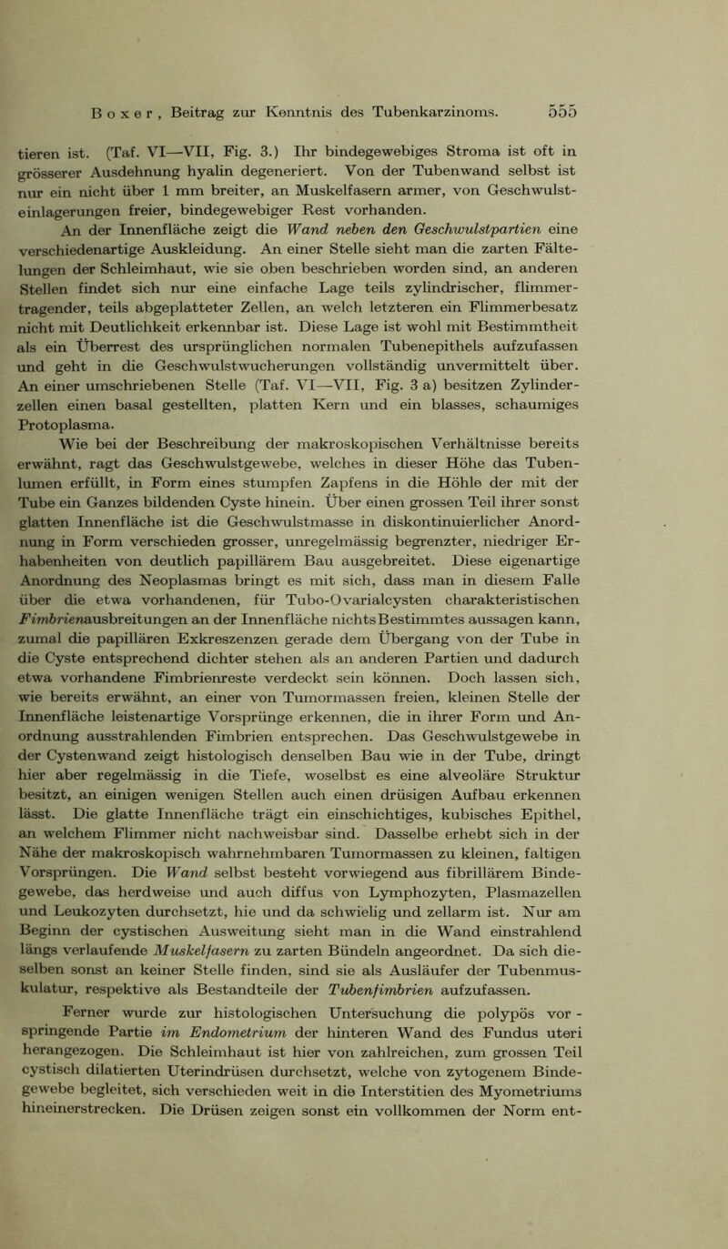 tieren ist. (Taf. VI—VII, Fig. 3.) Ihr bindegewebiges Stroma ist oft in grösserer Ausdehnung hyalin degeneriert. Von der Tuben wand selbst ist nur ein nicht über 1 mm breiter, an Muskelfasern armer, von Geschwulst- einlagerungen freier, bindegewebiger Rest vorhanden. An der Innenfläche zeigt die Wand neben den Geschwulstpartien eine verschiedenartige Auskleidung. An einer Stelle sieht man die zarten Fälte- lungen der Schleimhaut, wie sie oben beschrieben worden sind, an anderen Stellen findet sich nur eine einfache Lage teils zylindrischer, flimmer- tragender, teils abgeplatteter Zellen, an welch letzteren ein Flimmerbesatz nicht mit Deutlichkeit erkennbar ist. Diese Lage ist wohl mit Bestimmtheit als ein Überrest des ursprünglichen normalen Tubenepithels aufzufassen und geht in die Geschwulstwucherungen vollständig unvermittelt über. An einer umschriebenen Stelle (Taf. VI—VII, Fig. 3 a) besitzen Zylinder- zellen einen basal gestellten, platten Kern vmd ein blasses, schaumiges Protoplasma. Wie bei der Beschreibung der makroskopischen Verhältnisse bereits erwähnt, ragt das Geschwulstgewebe, welches in dieser Höhe das Tuben- Imnen erfüllt, in Form eines stumpfen Zapfens in die Höhle der mit der Tube ein Ganzes bildenden Cyste hinein. Über einen grossen Teil ihrer sonst glatten Innenfläche ist die Geschwulstmasse in diskontinuierlicher Anord- nung in Form verschieden grosser, unregelmässig begrenzter, niedriger Er- habenheiten von deutlich papillärem Bau ausgebreitet. Diese eigenartige Anordnung des Neoplasmas bringt es mit sich, dass man in diesem Falle über die etwa vorhandenen, für Tubo-Ov'arialcysten charakteristischen Fiwörfenausbreitungen an der Innenfläche nichts Bestimmtes aussagen kann, zumal die papillären Exkreszenzen gerade dem Übergang von der Tube in die Cyste entsprechend dichter stehen als an anderen Partien und dadurch etwa vorhandene Fimbrienreste verdeckt sein können. Doch lassen sich, wie bereits erwähnt, an einer von Tumormassen freien, kleinen Stelle der Innenfläche leistenartige Vorsprünge erkennen, die in ihrer Form und An- ordnung ausstrahlenden Fimbrien entsprechen. Das Geschwulstgewebe in der Cystenwand zeigt histologisch denselben Bau wie in der Tube, dringt hier aber regelmässig in die Tiefe, woselbst es eine alveoläre Struktur besitzt, an einigen wenigen Stellen auch einen drüsigen Aufbau erkennen lässt. Die glatte Innenfläche trägt ein einschichtiges, kubisches Epithel, an welchem Flimmer nicht nachweisbar sind. Dasselbe erhebt sich in der Nähe der makrosko2Disch wahrnehmbaren Tumormassen zu kleinen, faltigen Vorsprüngen. Die Wand selbst besteht vorwiegend aus fibrillärem Binde- gewebe, das herdweise imd auch diffus von Lymphozyten, Plasmazellen und Leukozyten durchsetzt, hie und da schwielig und zellarm ist. Nur am Beginn der cystischen Ausweitung sieht man in die Wand einstrahlend längs verlaufende Muskelfasern zu zarten Bündeln angeordnet. Da sich die- selben sonst an keiner Stelle finden, sind sie als Ausläufer der Tubenmus- kulatur, respektive als Bestandteile der Tubenfinibrien aufzufassen. Ferner wurde zur histologischen Untersuchung die polypös vor - springende Partie im Endometrium der hinteren Wand des Fundus uteri herangezogen. Die Schleimhaut ist hier von zahlreichen, zum grossen Teil cystisch dilatierten Uterindrüsen durchsetzt, welche von zytogenem Binde- gewebe begleitet, sich verschieden weit in die Interstitien des Myometriums hineinerstrecken. Die Drüsen zeigen sonst ein vollkommen der Norm ent-