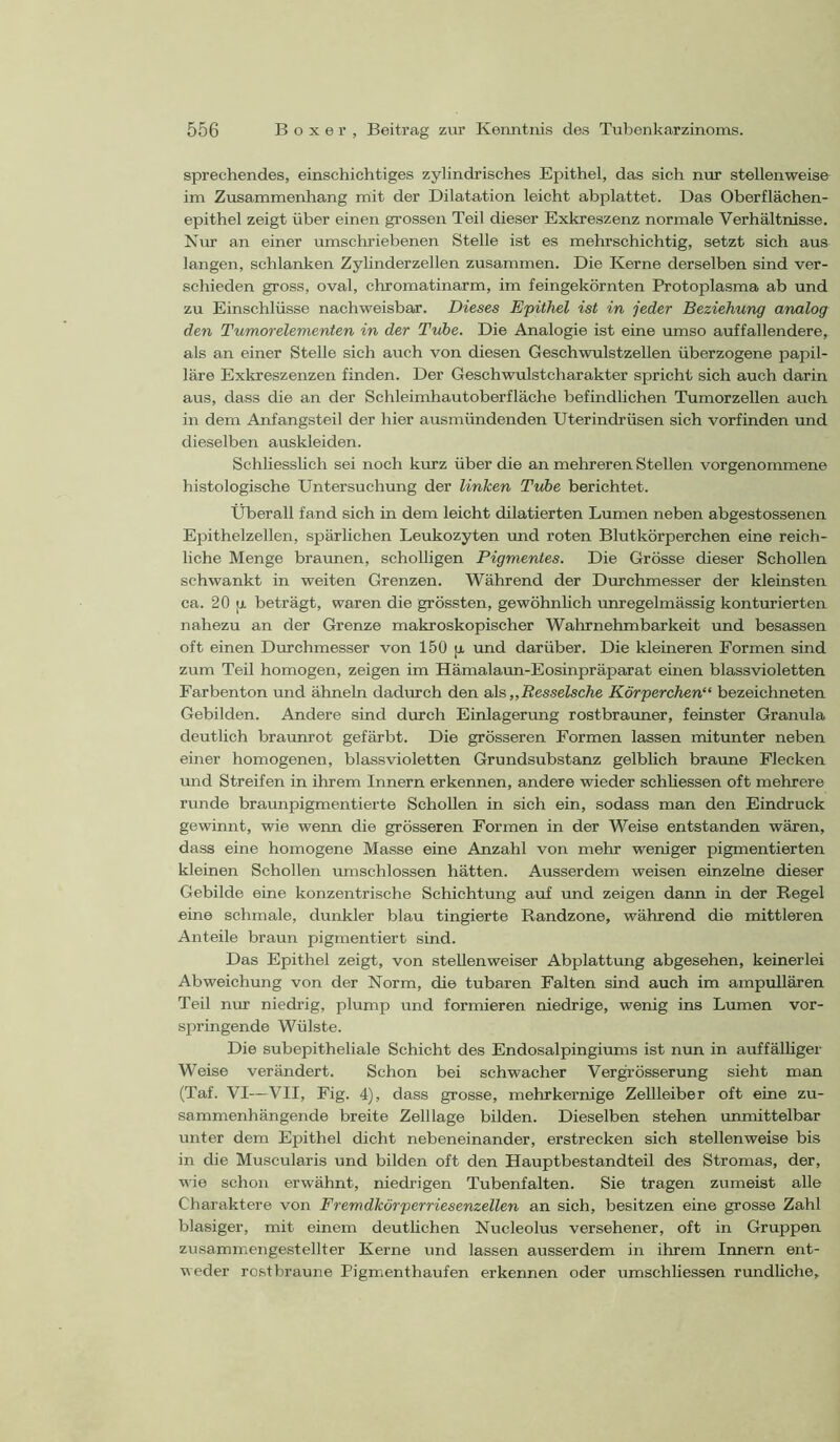 sprechendes, einschichtiges zylindrisches Epithel, das sich nur stellenweise im Zusammenhang mit der Dilatation leicht abplattet. Das Oberflächen- epithel zeigt über einen grossen Teil dieser Exkreszenz normale Verhältnisse. Km- an einer umschriebenen Stelle ist es mehrschichtig, setzt sich aus langen, schlanken Zylinderzellen zusammen. Die Kerne derselben sind ver- schieden gross, oval, chromatinarm, im feingekörnten Protoplasma ab und zu Einschlüsse nachweisbar. Dieses Epithel ist in jeder Beziehung analog den Tumorelementen in der Tube. Die Analogie ist eine umso auffallendere, als an einer Stelle sich auch von diesen Geschwulstzellen überzogene papil- läre Exkreszenzen finden. Der Geschwulstcharakter spricht sich auch darin aus, dass die an der Schleimhautober fläche befindhchen Tumor zellen auch in dem Anfangsteil der hier ausmündenden Uterindrüsen sich vorfinden und dieselben auskleiden. Schliesslich sei noch kurz über die an mehreren Stellen vorgenommene histologische Untersuchung der linken Tube berichtet. Überall fand sich in dem leicht dilatierten Lumen neben abgestossenen Epithelzellen, spärlichen Leukozyten und roten Blutkörperchen eine reich- liche Menge braunen, scholligen Pigmentes. Die Grösse dieser Schollen schwankt in weiten Grenzen. Während der Durchmesser der kleinsten ca. 20 fi. beträgt, waren die grössten, gewöhnlich unregelmässig konturierten nahezu an der Grenze makroskopischer Wahrnehmbarkeit und besassen oft einen Durchmesser von 150 p und darüber. Die kleineren Formen sind zum Teil homogen, zeigen im Hämalaun-Eosinpräparat einen blassvioletten Earbenton und ähneln dadurch den a\s „Resselsche Körperchen“ bezeichneten Gebilden. Andere sind durch Einlagerung rostbrauner, feinster Granula deutlich braunrot gefärbt. Die grösseren Formen lassen mitunter neben einer homogenen, blassvioletten Grundsubstanz gelblich braune Flecken und Streifen in ihrem Innern erkennen, andere wieder schliessen oft mehrere runde braunpigmentierte Schollen in sich ein, sodass man den Eindruck gewinnt, wie wenn die grösseren Formen in der Weise entstanden wären, dass eine homogene Masse eine Anzahl von mehr weniger pigmentierten kleinen Schollen tunschlossen hätten. Ausserdem weisen einzelne dieser Gebilde eine konzentrische Schichtung auf und zeigen dann in der Regel eine schmale, dunkler blau fingierte Randzone, während die mittleren Anteile braun pigmentiert sind. Das Epithel zeigt, von steUenweiser Abplattung abgesehen, keinerlei Abweichung von der Norm, die tubaren Falten sind auch im ampullären Teil nur niedrig, plump und formieren niedrige, wenig ins Lumen vor- springende Wülste. Die subepitheliale Schicht des Endosalpingiums ist mm in auffälHger Weise verändert. Schon bei schwacher Vergrösserung sieht man (Taf. VI—VII, Fig. 4), dass grosse, mehrkernige Zellleiber oft eine zu- sammenhängende breite Zelllage bilden. Dieselben stehen unmittelbar unter dem Epithel dicht nebeneinander, erstrecken sich stellenweise bis in die Muscularis und bilden oft den Hauptbestandteil des Stromas, der, wie schon erwähnt, niedrigen Tubenfalten. Sie tragen zumeist alle Charaktere von Fremdkörper riesenzellen an sich, besitzen eine grosse Zahl blasiger, mit einem deuthchen Nucleolus versehener, oft in Gruppen zusammengestellter Kerne und lassen ausserdem in ihrem Innern ent- weder rostbraune Pigmenthaufen erkennen oder umschliessen rundliche.