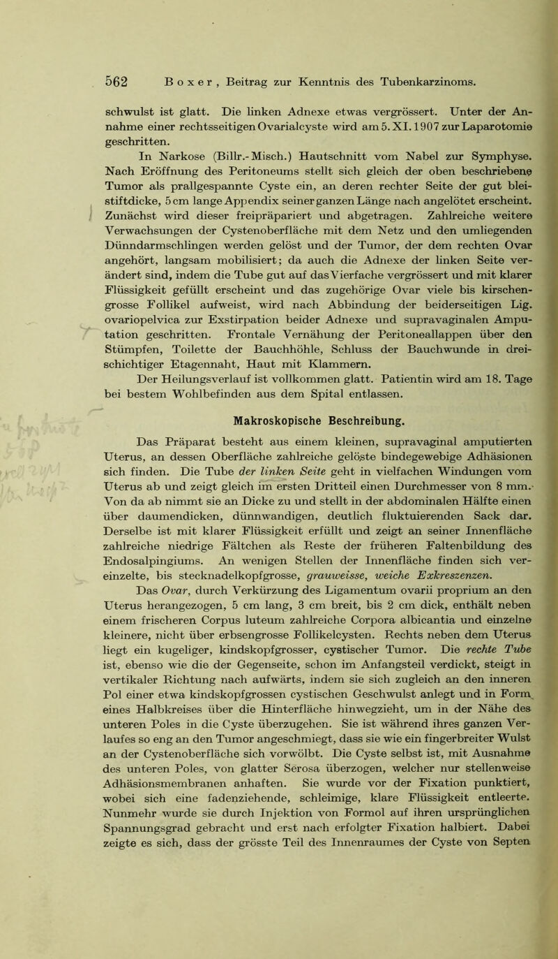 schwulst ist glatt. Die linken Adnexe etwas vergrössert. Unter der An- nahme einer rechtsseitigen Ovarialcyste wird am 5. XI. 1907 zur Laparotomie geschritten. In Narkose (Billr.-Misch.) Hautschnitt vom Nabel zur Symphyse. Nach Eröffnung des Peritoneums stellt sich gleich der oben beschrieben? Tumor als prallgespannte Cyste ein, an deren rechter Seite der gut blei- stiftdicke, 5 cm lange Appendix seiner ganzen Länge nach angelötet erscheint. Zunächst wird dieser freipräpariert und abgetragen. Zahlreiche weitere Verwachsungen der Cystenoberfläche mit dem Netz und den umliegenden Dünndarmschlingen werden gelöst und der Tumor, der dem rechten Ovar angehört, langsam mobilisiert; da auch die Adnexe der linken Seite ver- ändert sind, indem die Tube gut auf das Vierfache vergrössert imd mit klarer Flüssigkeit gefüllt erscheint und das zugehörige Ovar viele bis kirschen- grosse Follikel aufweist, wird nach Abbindung der beiderseitigen Lig. ovariopelvica zur Exstirpation beider Adnexe und supravaginalen Ampu- tation geschritten. Frontale Vernähung der Peritoneallappen über den Stümpfen, Toilette der Bauchhöhle, Schluss der Bauchwunde in drei- schichtiger Etagennaht, Haut mit Klammem. Der Heilungsverlauf ist vollkommen glatt. Patientin wird am 18. Tage bei bestem Wohlbefinden aus dem Spital entlassen. Makroskopische Beschreibung, Das Präparat besteht aus einem kleinen, supravaginal amputierten Uterus, an dessen Oberfläche zahlreiche gelöste bindegewebige Adhäsionen sich finden. Die Tube der linken Seite geht in vielfachen Windungen vom Uterus ab und zeigt gleich im ersten Dritteil einen Durchmesser von 8 mm.- Von da ab nimmt sie an Dicke zu und stellt in der abdominalen Hälfte einen über daumendicken, dünnwandigen, deutlich fluktuierenden Sack dar. Derselbe ist mit klarer Flüssigkeit erfüllt und zeigt an seiner Innenfläche zahlreiche niedrige Fältchen als Reste der früheren Faltenbildung des Endosalpingiums. An wenigen Stellen der Innenfläche finden sich ver- einzelte, bis stecknadelkopfgrosse, grauweisse, weiche Exkreszenzen. Das Ovar, durch Verkürzung des Ligamentum ovarii proprium an den Uterus herangezogen, 5 cm lang, 3 cm breit, bis 2 cm dick, enthält neben einem frischeren Corpus luteum zahlreiche Corpora albicantia und einzelne kleinere, nicht über erbsengrosse Follikelcysten. Rechts neben dem Uterus liegt ein kugeliger, kindskopfgrosser, cystischer Tumor. Die rechte Tube ist, ebenso wie die der Gegenseite, schon im Anfangsteil verdickt, steigt in vertikaler Richtung nach aufwärts, indem sie sich zugleich an den inneren Pol einer etwa kindskopfgrossen cystischen Geschwulst anlegt und in Form, eines Halbkreises über die Hinterfläche hinwegzieht, um in der Nähe des imteren Poles in die Cyste überzugehen. Sie ist während ihres ganzen Ver- laufes so eng an den Tumor angeschmiegt, dass sie wie ein fingerbreiter Wulst an der Cystenoberfläche sich vorwölbt. Die Cyste selbst ist, mit Ausnahme des unteren Poles, von glatter Serosa überzogen, welcher nur stellenweise Adhäsionsmembranen anhaften. Sie wurde vor der Fixation punktiert, wobei sich eine fadenziehende, schleimige, klare Flüssigkeit entleerte. Nunmehr wurde sie durch Injektion von Formol auf ihren ursprünglichen Spannungsgrad gebracht und erst nach erfolgter Fixation halbiert. Dabei zeigte es sich, dass der grösste Teil des Innenraumes der Cyste von Septen