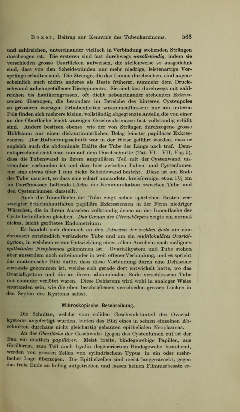 und zahlreichen, untereinander vielfach inVerbindimg stehenden Strängen durchzogen ist. Die ersteren sind fast durchwegs unvollständig, indem sie verschieden grosse Usurlücken aufweisen, die stellenweise so ausgedehnt sind, dass von den Scheidewänden nur mehr niedrige, leistenartige Vor- sprünge erhalten sind. Die Stränge, die das Lumen durchziehen, sind augen- scheinlich auch nichts anderes als Reste früherer, nunmehr dem Druck- schwund anheimgefallener Dissepimente. Sie sind fast durchwegs mit zahl- reichen bis hanfkorngrossen, oft dicht nebeneinander stehenden Exkres- zenzen überzogen, die besonders im Bereiche des hinteren Cystenpolea zu grösseren warzigen Erhabenheiten zusammenfliessen; nur am unteren Pole finden sich mehrere kleine, vollständig abgegrenzte Anteile, die von einer an der Oberfläche leicht warzigen Geschwulstmasse fast vollständig erfüllt sind. Andere besitzen ebenso wie der von Strängen durchzogene grosse Hohlraum nur einen diskontinuierlichen Belag feinster papillärer Exkres- zenzen. Der Halbienmgsschnitt war in der Weise geführt worden, dass er zugleich auch die abdominale Hälfte der Tube der Länge nach traf. Dem- entsprechend sieht man nun auf dem Durchschnitte (Taf. VI—VII, Fig. 5), dass die Tubenwand in ihrem ampullären Teil mit der Cystenwand vm- trennbar verbimden ist und dass hier zwischen Tuben- und Cystenlumen nur eine etwas über 1 mm dicke Scheidewand besteht. Diese ist am Ende der Tube usuriert, so dass eine scharf umrandete, Icreisförmige, etwa 1 % cm im Duröhmesser haltende Lücke die Kommunikation zwischen Tube und den Cystenräumen darstellt. Auch die Innenfläche der Tube zeigt neben spärlichen Resten ver- zweigter Schleimhautfalten papilläre Exkreszenzen in der Form niedriger Wärzchen, die in ihrem Aussehen vollständig denen an der Innenfläche der Cyste befindlichen gleichen. Das Gavum des Uteruskörpers zeigte ein normal dickes, leicht gerötetes Endometrium: Es handelt sich demnach an den Adnexen der rechten Seite um eine chronisch entzündlich veränderte Tube und um ein multilokuläres Ovarial- kystom, in welchem es zur Entwicklung eines, allem Anschein nach malignen epithelialen Neoplasmas gekommen ist. Ovarialkystom und Tube stehen aber ausserdem noch miteinander in weit offener Verbind\mg, imd es spricht das anatomische Bild dafür, dass diese Verbindung durch eine Dehiszenz zustande gekommen ist, welche sich gerade dort entwickelt hatte, wo das Ovarialkystom und die an ihrem abdominalen Ende verschlossene Tube mit einander verlötet waren. Diese Dehiszenz wird wohl in analoger Weise entstanden sein, wie die oben beschriebenen verschieden grossen Lücken in den Septen des Kystoms selbst. Mikroskopische Beschreibung, Die Schnitte, welche vom soliden Geschwulstanteil des Ovarial- kystoms angefertigt wurden, bieten das Bild eines in seinen einzelnen Ab- schnitten durchaus nicht gleichartig gebauten epithelialen Neoplasmas. An der Oberfläche der Geschwulst (gegen das Cystenlumen zu) ist der Bau ein deutlich papillärer. Meist breite, bindegewebige Papillen, aus fibrillärem, zum Teil auch hyalin degeneriertem Bindegewebe bestehend, werden von grossen Zellen von zylindrischem Typus in ein oder mehr- facher Lage überzogen. Die Epithelzellen sind meist langgestreckt, gegen das freie Ende zu kolbig aufgetrieben und lassen keinen Flimmerbesatz er-