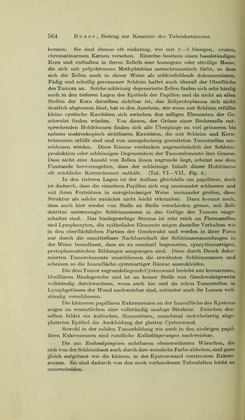 kennen. Sie sind ebenso oft einkernig, wie mit 2—3 blasigen, ovalen, chromatinarmen Kernen versehen. Einzelne besitzen einen basalständigen Kern und enthalten in ihrem Zelleib eine homogene oder streifige Masse, die sich mit polychromem Methylenblau metachromatisch färbt, so dass sich die Zellen auch in dieser Weise als schleinibildende dokumentieren. Fädig und schollig geronnener Schleim haftet auch überall der Oberfläche des Tumors an. Solche schleimig degenerierte Zellen finden sich sehr häufig auch in den tieferen Lagen des Epithels der Papillen und da nicht an allen Stellen der Kern derselben sichtbar ist, das Zellprotoplasma sich nicht deutlich abgrenzen lässt, hat es den Anschein, wie wenn mit Schleim erfüllte kleine cystische Kavitäten sieh zwischen den zelligen Elementen der Ge- schwulst finden würden. Von diesen, der Grösse einer Becherzelle ent- sprechenden Hohlräumen finden sich alle Übergänge zu viel grösseren bis nahezu makroskopisch sichtbaren Kavitäten, die mit Schleim und Kern- trümmern erfüllt sind und von unregelmässig gestalteten Tumorzellen um- schlossen werden. Diese Räume verdanken augenscheinlich der Schleim- produktion oder schleimigen Degeneration der Tumorelemente ihre Genese. Dass nicht eine Anzahl von Zellen ihnen zugrunde hegt, scheint aus dem Umstande hervorzugehen, dass der schleimige Inhalt dieser Hohlräume oft reichliche Kerntrümmer enthält. (Taf. VI—VII, Fig. 6.) In den tieferen Lagen ist der Aufbau gleichfalls ein papillärer, doch ist dadurch, dass die einzelnen Papillen sich eng aneinander schüessen und mit ihren Fortsätzen in unregelmässiger Weise ineinander greifen, diese Struktur als solche zunächst nicht leicht erkennbar. Dazu kommt noch, dass auch hier wieder von Stelle zu Stelle verschieden grosse, mit Zell- detritus untermengte Schleimmassen in das Gefüge des Tumors einge- schaltet sind. Das bindegewebige Stroma ist sehr reich an Plasmazellen und Lymphozyten, die epithelialen Elemente zeigen dasselbe Verhalten wie in den oberflächlichen Partien der Geschwulst und werden in ihrer Form nur durch die unmittelbare Nachbarschaft der Schleimansammlungen in der Weise beeinflusst, dass sie zu unscharf begrenzten, syncytiumartigen, protoplasmatischen Bildungen ausgezogen sind. Diese durch Druck defor- mierten Tumorelemente umschliessen die erwähnten Schleimmassen und scheinen so die Innenfläche cystenartiger Räume auszukleiden. Die dem Tumor zugrundeliegende Cystenwand besteht aus kernarmem, fibrillärem Bindegewebe und ist an keiner Stelle von Geschwulstgewebe vollständig durchwachsen, wenn auch hie und da schon Tumorzellen in Lymphgefässen der Wand nachweisbar sind, mitunter auch ihr Lumen voll- ständig verschliessen. Die kleineren papillären Exkreszenzen an der Innenfläche des Kystoms zeigen im wesentlichen eine vollständig analoge Struktur. Zwischen den- selben bildet ein kubisches, flimmerloses, manchmal endothelartig abge- plattetes Epithel die Auskleidung der glatten Cystenwand. Sowohl in der soliden Tumorbildung wie auch in den niedrigen papil- lären Exkreszenzen sind rundliche Kalkablagerungen nachweisbar. Die am Endosalpingium sichtbaren obenerwähnten Wärzchen, die sich von der Schleimhaut auch dm’ch ihre weissliche Farbe abheben, sind ganz gleich aufgebaut wie die kleinen, in der Kystomwand verstreuten Exkres- zenzen. Sie sind dadurch von den noch vorhandenen Tubenfalten leicht zu unterscheiden.