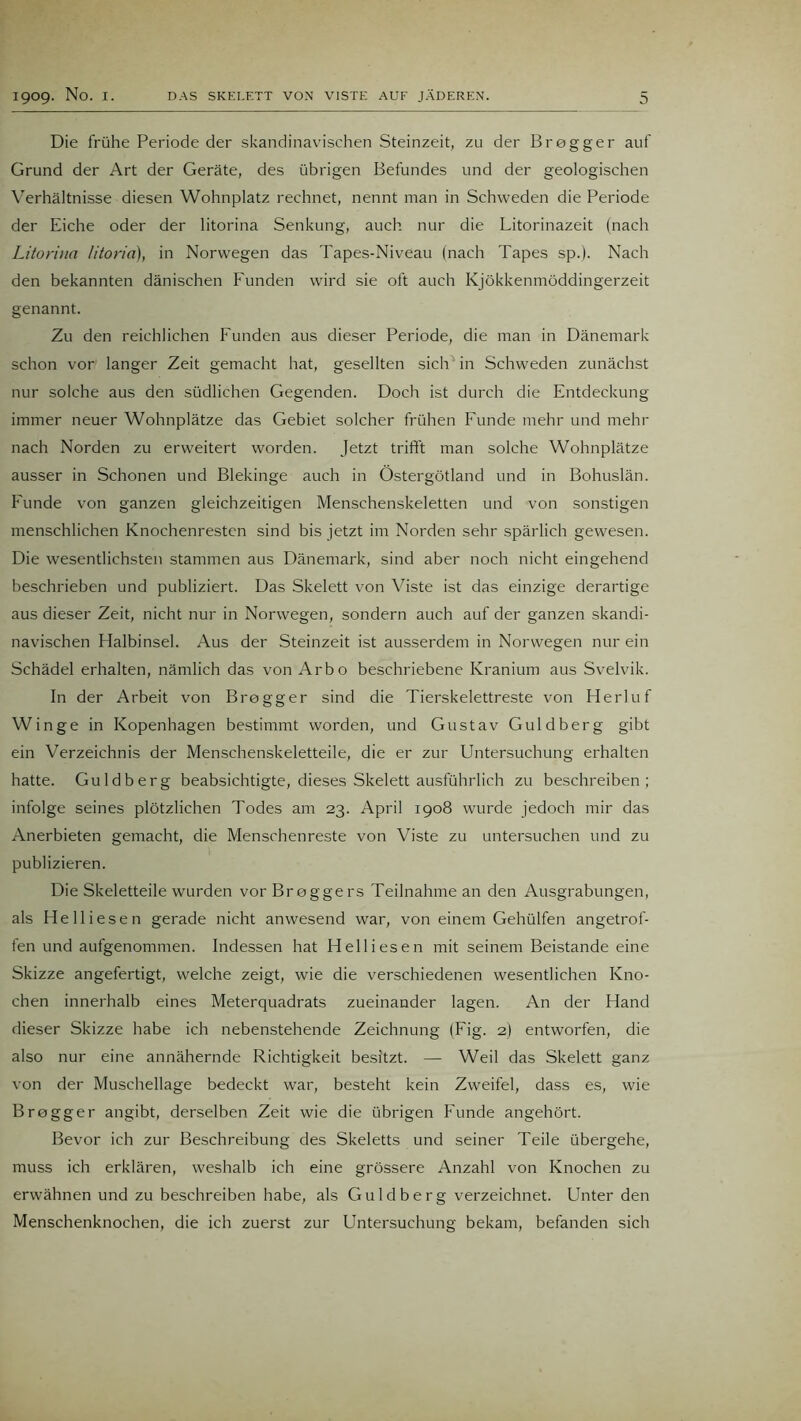 Die frühe Periode der skandinavischen Steinzeit, zu der Brogger auf Grund der Art der Geräte, des übrigen Befundes und der geologischen Verhältnisse diesen Wohnplatz rechnet, nennt man in Schweden die Periode der Eiche oder der litorina Senkung, auch nur die Litorinazeit (nach Litorina litorio), in Norwegen das Tapes-Niveau (nach Tapes sp.). Nach den bekannten dänischen Funden wird sie oft auch Kjökkenmöddingerzeit genannt. Zu den reichlichen Funden aus dieser Periode, die man in Dänemark schon vor langer Zeit gemacht hat, gesellten sich in Schweden zunächst nur solche aus den südlichen Gegenden. Doch ist durch die Entdeckung immer neuer Wolmplätze das Gebiet solcher frühen Funde mehr und mehr nach Norden zu erweitert worden. Jetzt trifft man solche Wohnplätze ausser in Schonen und Blekinge auch in Östergötland und in Bohuslän. Funde von ganzen gleichzeitigen Menschenskeletten und von sonstigen menschlichen Knochenresten sind bis jetzt im Norden sehr spärlich gewesen. Die wesentlichsten stammen aus Dänemark, sind aber noch nicht eingehend beschrieben und publiziert. Das Skelett von Viste ist das einzige derartige aus dieser Zeit, nicht nur in Norwegen, sondern auch auf der ganzen skandi- navischen Halbinsel. Aus der Steinzeit ist ausserdem in Norwegen nur ein Schädel erhalten, nämlich das von Arbo beschriebene Kranium aus Svelvik. In der Arbeit von Brogger sind die Tierskelettreste von Herluf Winge in Kopenhagen bestimmt worden, und Gustav Guldberg gibt ein Verzeichnis der Menschenskeletteile, die er zur Untersuchung erhalten hatte. Guldberg beabsichtigte, dieses Skelett ausführlich zu beschreiben; infolge seines plötzlichen Todes am 23. April 1908 wurde jedoch mir das Anerbieten gemacht, die Menschenreste von Viste zu untersuchen und zu publizieren. Die Skeletteile wurden vorBroggers Teilnahme an den Ausgrabungen, als Helliesen gerade nicht anwesend war, von einem Gehülfen angetrof- fen und aufgenommen. Indessen hat Helliesen mit seinem Beistände eine Skizze angefertigt, welche zeigt, wie die verschiedenen wesentlichen Kno- chen innerhalb eines Meterquadrats zueinander lagen. An der Hand dieser Skizze habe ich nebenstehende Zeichnung (Fig. 2) entworfen, die also nur eine annähernde Richtigkeit besitzt. — Weil das Skelett ganz von der Muschellage bedeckt war, besteht kein Zweifel, dass es, wie Brogger angibt, derselben Zeit wie die übrigen Funde angehört. Bevor ich zur Beschreibung des Skeletts und seiner Teile übergehe, muss ich erklären, weshalb ich eine grössere Anzahl von Knochen zu erwähnen und zu beschreiben habe, als Guldberg verzeichnet. Unter den Menschenknochen, die ich zuerst zur Untersuchung bekam, befanden sich