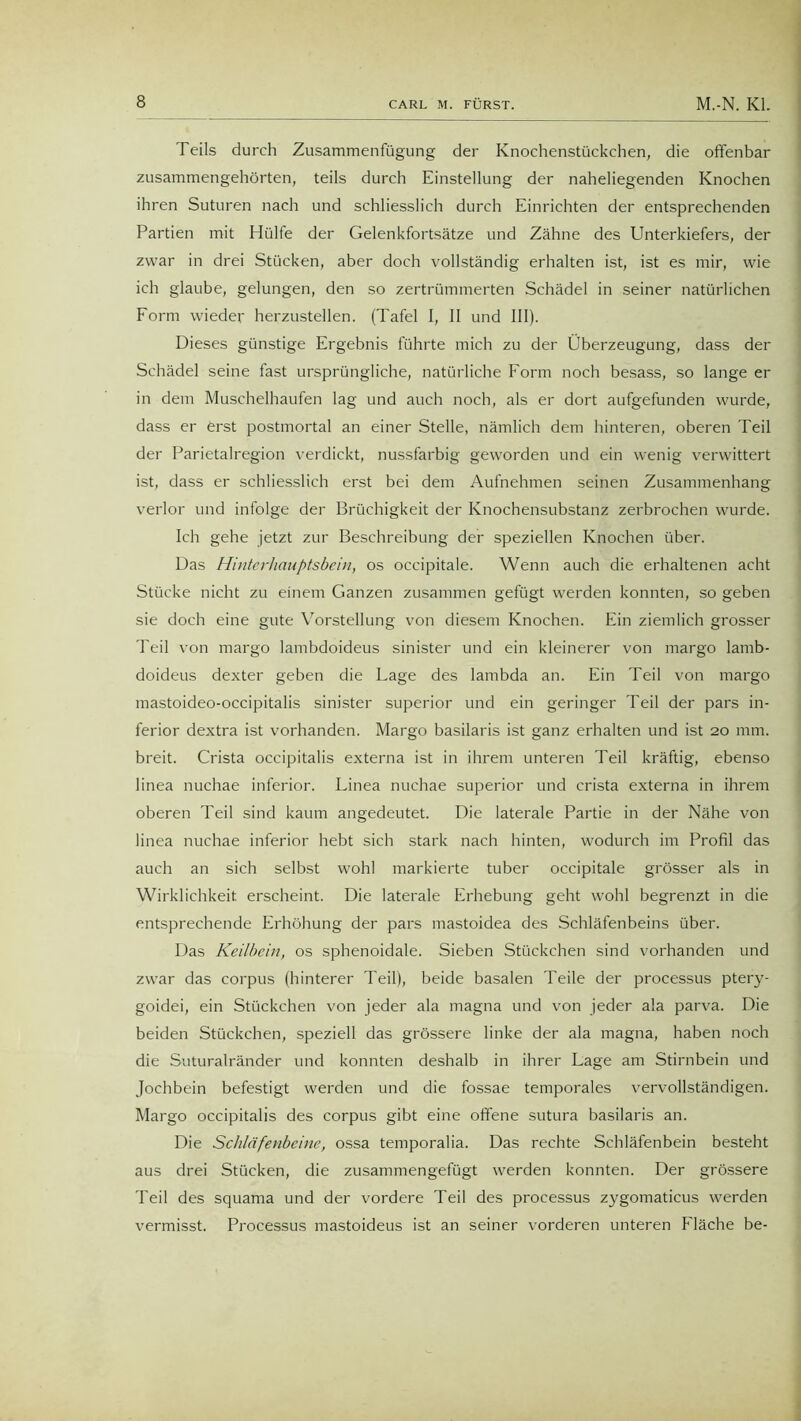 Teils durch Zusammenfügung der Knochenstückchen, die offenbar zusammengehörten, teils durch Einstellung der naheliegenden Knochen ihren Suturen nach und schliesslich durch Einrichten der entsprechenden Partien mit Hülfe der Gelenkfortsätze und Zähne des Unterkiefers, der zwar in drei Stücken, aber doch vollständig erhalten ist, ist es mir, wie ich glaube, gelungen, den so zertrümmerten Schädel in seiner natürlichen Form wieder herzustellen. (Tafel I, II und III). Dieses günstige Ergebnis führte mich zu der Überzeugung, dass der Schädel seine fast ursprüngliche, natürliche Form noch besass, so lange er in dem Muschelhaufen lag und auch noch, als er dort aufgefunden wurde, dass er erst postmortal an einer Stelle, nämlich dem hinteren, oberen Teil der Parietalregion verdickt, nussfarbig geworden und ein wenig verwittert ist, dass er schliesslich erst bei dem Aufnehmen seinen Zusammenhang verlor und infolge der Brüchigkeit der Knochensubstanz zerbrochen wurde. Ich gehe jetzt zur Beschreibung der speziellen Knochen über. Das Hinterhauptsbein, os occipitale. Wenn auch die erhaltenen acht Stücke nicht zu einem Ganzen zusammen gefügt werden konnten, so geben sie doch eine gute Vorstellung von diesem Knochen. Ein ziemlich grosser Teil von margo lambdoideus sinister und ein kleinerer von margo lamb- doideus dexter geben die Lage des lambda an. Ein Teil von margo mastoideo-occipitalis sinister superior und ein geringer Teil der pars in- ferior dextra ist vorhanden. Margo basilaris ist ganz erhalten und ist 20 mm. breit. Crista occipitalis externa ist in ihrem unteren Teil kräftig, ebenso linea nuchae inferior. Linea nuchae superior und crista externa in ihrem oberen Teil sind kaum angedeutet. Die laterale Partie in der Nähe von linea nuchae inferior hebt sich stark nach hinten, wodurch im Profil das auch an sich selbst wohl markierte tuber occipitale grösser als in Wirklichkeit erscheint. Die laterale Erhebung geht wohl begrenzt in die entsprechende Erhöhung der pars mastoidea des Schläfenbeins über. Das Keilbein, os sphenoidale. Sieben Stückchen sind vorhanden und zwar das corpus (hinterer Teil), beide basalen Teile der processus ptery- goidei, ein Stückchen von jeder ala magna und von jeder ala parva. Die beiden Stückchen, speziell das grössere linke der ala magna, haben noch die Suturalränder und konnten deshalb in ihrer Lage am Stirnbein und Jochbein befestigt werden und die fossae temporales vervollständigen. Margo occipitalis des corpus gibt eine offene sutura basilaris an. Die Schläfenbeine, ossa temporalia. Das rechte Schläfenbein besteht aus drei Stücken, die zusammengefügt werden konnten. Der grössere Teil des squama und der vordere Teil des processus zygomaticus werden vermisst. Processus mastoideus ist an seiner vorderen unteren fläche be-