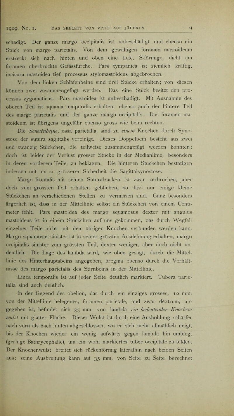 schädigt. Der ganze margo occipitalis ist unbeschädigt und ebenso ein Stück von margo parietalis. Von dem gewaltigen foramen mastoideum erstreckt sich nach hinten und oben eine tiefe, S-förmige, dicht am foramen überbrückte Gefässfurche. Pars tympanica ist ziemlich kräftig, incisura mastoidea tief, processus stylomastoideus abgebrochen. Von dem linken Schläfenbeine sind drei Stücke erhalten; von diesen können zwei zusammengefügt werden. Das eine Stück besitzt den pro- cessus zygomaticus. Pars mastoidea ist unbeschädigt. Mit Ausnahme des oberen Teil ist squama temporalis erhalten, ebenso auch der hintere Teil des margo parietalis und der ganze margo occipitalis. Das foramen ma- stoideum ist übrigens ungefähr ebenso gross wie beim rechten. Die Scheitelbeine, ossa parietalia, sind zu einem Knochen durch Syno- stose der sutura sagittalis vereinigt. Dieses Doppelbein besteht aus zwei und zwanzig Stückchen, die teilweise zusammengefügt werden konnten; doch ist leider der Verlust grosser Stücke in der Medianlinie, besonders in deren vorderem Teile, zu beklagen. Die hinteren Stückchen bestätigen indessen mit um so grösserer Sicherheit die Sagittalsynostose. Margo frontalis mit seinen Suturalzacken ist zwar zerbrochen, aber doch zum grössten Teil erhalten geblieben, so dass nur einige kleine Stückchen an verschiedenen Stellen zu vermissen sind. Ganz besonders ärgerlich ist, dass in der Mittellinie selbst ein Stückchen von einem Centi- meter fehlt, Pars mastoidea des margo squamosus dexter mit angulus mastoideus ist in einem Stückchen auf uns gekommen, das durch Wegfall einzelner Teile nicht mit dem übrigen Knochen verbunden werden kann. Margo squamosus sinister ist in seiner grössten Ausdehnung erhalten, margo occipitalis sinister zum grössten Teil, dexter weniger, aber doch nicht un- deutlich. Die Lage des lambda wird, wie oben gesagt, durch die Mittel- linie des Hinterhauptsbeins angegeben, bregma ebenso durch die Verhält- nisse des margo parietalis des Stirnbeins in der Mittellinie. Linea temporalis ist auf jeder Seite deutlich markiert. Tubera parie- talia sind auch deutlich. In der Gegend des obelion, das durch ein einziges grosses, 12 mm. von der Mittellinie belegenes, foramen parietale, und zwar dextrum, an- gegeben ist, befindet sich 35 mm. von lambda ein bedeutender Knochen- vonlst mit glatter Fläche. Dieser Wulst ist durch eine Aushöhlung schärfer nach vorn als nach hinten abgeschlossen, wo er sich mehr allmählich neigt, bis der Knochen wieder ein wenig aufwärts gegen lambda hin umbiegt (geringe Bathrycephalie), um ein wohl markiertes tuber occipitale zu bilden. Der Knochenwulst breitet sich rückenförmig lateralhin nach beiden Seiten aus; seine Ausbreitung kann auf 35 mm. von Seite zu Seite berechnet