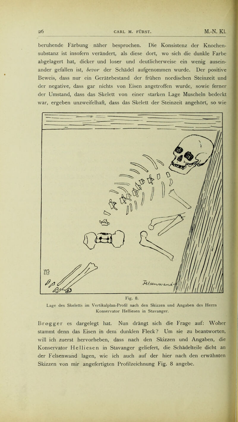 beruhende Färbung näher besprochen. Die Konsistenz der Knochen- substanz ist insofern verändert, als diese dort, wo sich die dunkle Farbe abgelagert hat, dicker und loser und deutlicherweise ein wenig ausein- ander gefallen ist, bevor der Schädel aufgenommen wurde. Der positive Beweis, dass nur ein Gerätebestand der frühen nordischen Steinzeit und der negative, dass gar nichts von Eisen angetrofifen wurde, sowie ferner der Umstand, dass das Skelett von einer starken Lage Muscheln bedeckt war, ergeben unzweifelhaft, dass das Skelett der Steinzeit angehört, so wie Lage des Skeletts im Vertikalplan-Profil nach den Skizzen und Angaben des Herrn Konservator Helliesen in Stavanger. Bregger es dargelegt hat. Nun drängt sich die Frage auf: Woher stammt denn das Eisen in dem dunklen Fleck? Um sie zu beantworten, will ich zuerst hervorheben, dass nach den Skizzen und Angaben, die Konservator Helliesen in Stavanger geliefert, die Schädelteile dicht an der Felsenwand lagen, wie ich auch auf der hier nach den erwähnten Skizzen von mir angefertigten Profilzeichnung Fig. 8 angebe.