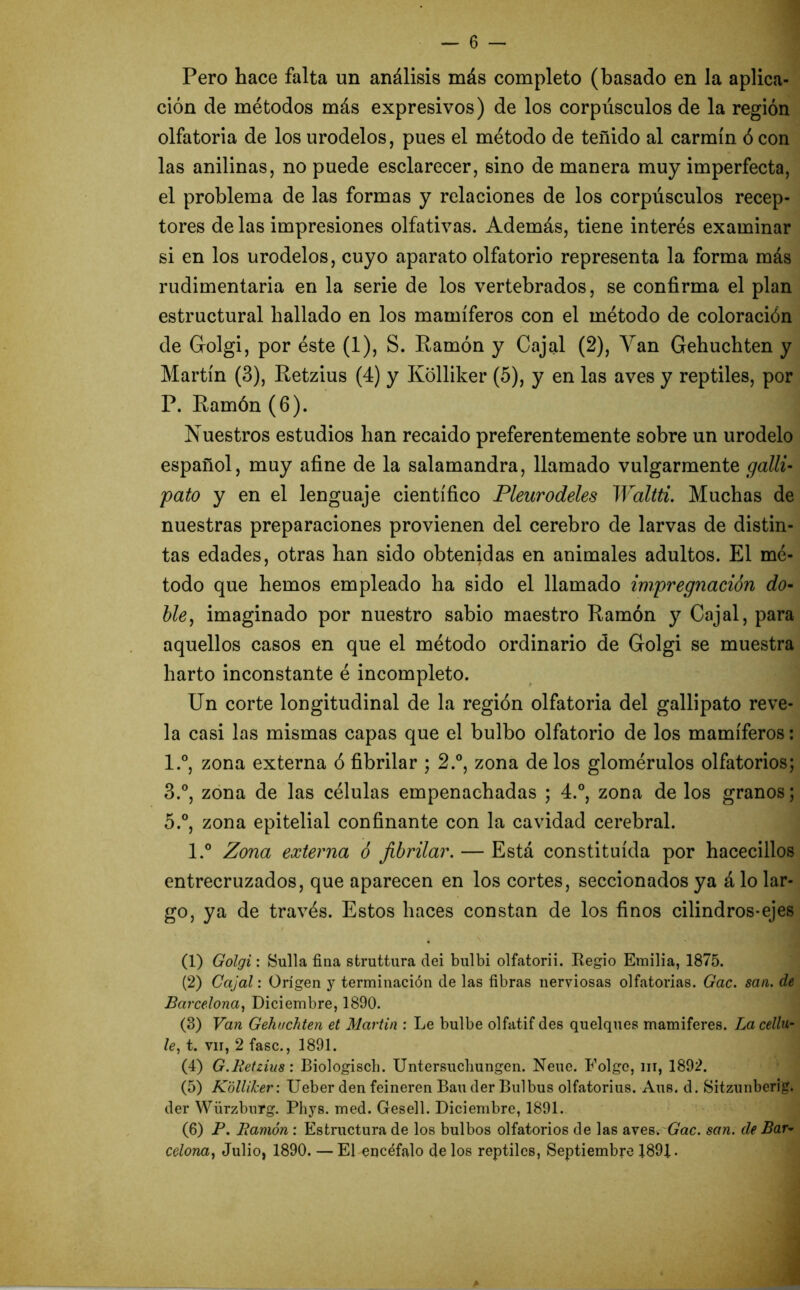 Pero hace falta un análisis más completo (basado en la aplica- ción de métodos más expresivos) de los corpúsculos de la región olfatoria de los urodelos, pues el método de teñido al carmín ó con las anilinas, no puede esclarecer, sino de manera muy imperfecta, el problema de las formas y relaciones de los corpúsculos recep- tores de las impresiones olfativas. Además, tiene interés examinar si en los urodelos, cuyo aparato olfatorio representa la forma más rudimentaria en la serie de los vertebrados, se confirma el plan estructural hallado en los mamíferos con el método de coloración de Golgi, por éste (1), S. Ramón y Cajal (2), Van Gehuchten y Martín (3), Retzius (4) y Kolliker (5), y en las aves y reptiles, por P. Ramón (6). Nuestros estudios han recaido preferentemente sobre un urodelo español, muy afine de la salamandra, llamado vulgarmente galli- pato y en el lenguaje científico Pleurodeles Waltti. Muchas de nuestras preparaciones provienen del cerebro de larvas de distin- tas edades, otras han sido obtenidas en animales adultos. El mé- todo que hemos empleado ha sido el llamado impregnación do- ble , imaginado por nuestro sabio maestro Ramón y Cajal, para aquellos casos en que el método ordinario de Golgi se muestra harto inconstante é incompleto. Un corte longitudinal de la región olfatoria del gallipato reve- la casi las mismas capas que el bulbo olfatorio de los mamíferos: l.°, zona externa ó fibrilar ; 2.°, zona de los glomérulos olfatorios; 3.°, zona de las células empenachadas ; 4.°, zona de los granos; 5.°, zona epitelial confinante con la cavidad cerebral. l.° Zona externa ó fibrilar. — Está constituida por hacecillos entrecruzados, que aparecen en los cortes, seccionados ya á lo lar- go, ya de través. Estos haces constan de los finos cilindros-ejes (1) Golgi: Sulla fina struttura dei bulbi olfatorii. Regio Emilia, 1875. (2) Cajal: Origen y terminación de las fibras nerviosas olfatorias. Gac. san. de Barcelona, Diciembre, 1890. (3) Van Gehuchten et Martin : Le bulbe olfatif des quelques mamiferes. La cellu- le, t. vir, 2 fase., 1891. (4) G.Retzius: BiologiscL. Untersucliungen. Nene. Folgo, m, 1892. (5) Kolliker: Ueber den feineren Bau der Bulbus olfatorius. Aus. d. Sitzunberig. der Würzburg. Phys. med. Gesell. Diciembre, 1891. (6) P. Ramón: Estructura de los bulbos olfatorios de las aves .Gac. san. de Bar- celona, Julio, 1890. — El encéfalo délos reptiles, Septiembre 1891.