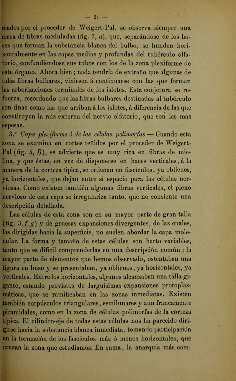 reados por el proceder de Weigert-Pal, se observa siempre una masa de fibras meduladas (fig. 7, a), que, separándose de los ha- ces que forman la substancia blanca del bulbo, se hunden hori- zontalmente en las capas medias y profundas del tubérculo olfa- torio, confundiéndose sus tubos con los de la zona plexiforme de este órgano. Ahora bien ; nada tendría de extraño que algunas de tales fibras bulbares, viniesen á continuarse con las que forman las arborizaciones terminales de los islotes. Esta conjetura se re- fuerza, recordando que las fibras bulbares destinadas al tubérculo son finas como las que arriban á los islotes, á diferencia de las que constituyen la raiz externa del nervio olfatorio, que son las más espesas. 3.° Capa plexiforme ó de las células polimorfas — Cuando esta zona se examina en cortes teñidos por el proceder de Weigert- Pal (fig. 5,2?), se advierte que es muy rica en fibras de mie- lina, y que éstas, en vez de disponerse en haces verticales, á la manera de la corteza típica, se ordenan en fascículos, ya oblicuos, ya horizontales, que dejan entre sí espacio para las células ner- viosas. Como existen también algunas fibras verticales, el plexo nervioso de esta capa se irregulariza tanto, que no consiente una descripción detallada. Las células de esta zona son en su mayor parte de gran talla (fig. 3,fg) y de gruesas expansiones divergentes, de las cuales, las dirigidas hacia la superficie, no suelen abordar la capa mole- cular. La forma y tamaño de estas células son harto variables, tanto que es difícil comprenderlas en una descripción común : la mayor parte de elementos que hemos observado, ostentaban una figura en huso y se presentaban, ya oblicuos, ya horizontales, ya verticales. Entre los horizontales, algunos alcanzaban una talla gi- gante, estando provistos de larguísimas expansiones protoplas- máticas, que se ramificaban en las zonas inmediatas. Existen también corpúsculos triangulares, semilunares y aun francamente piramidales, como en la zona de células polimorfas de la corteza típica. El cilindro-eje de todas estas células nos ha parecido diri- girse hacia la substancia blanca inmediata, tomando participación en la formación de los fascículos más ó menos horizontales, que cruzan la zona que estudiamos. En suma, la anarquía más cora-