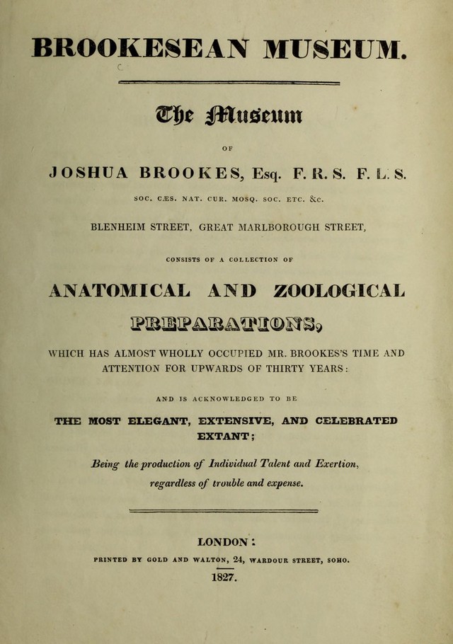 digitised image 3
