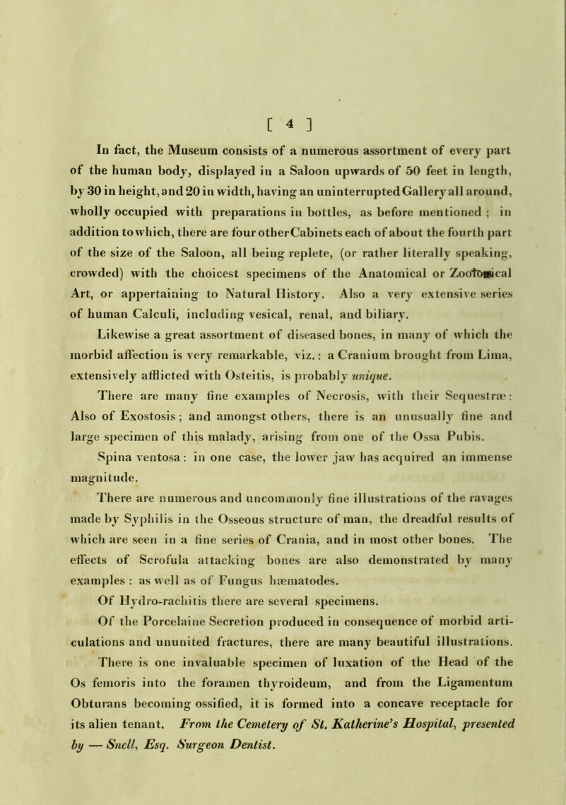 In fact, the Museum consists of a numerous assortment of every part of the human body, displayed in a Saloon upwards of 50 feet in length, by 30 in height, and 20 in width, having an uninterrupted Gallery all around, wholly occupied with preparations in bottles, as before mentioned ; in addition to which, there are four otherCabinets each of about the fourth part of the size of the Saloon, all being replete, (or rather literally speaking, crowded) with the choicest specimens of the Anatomical or Zoo%Mical Art, or appertaining to Natural History. Also a very extensive series of human Calculi, including vesical, renal, and biliary, Likew'ise a great assortment of diseased bones, in many of which the morbid affection is very remarkable, viz.; a Cranium brought from Lima, extensively afflicted with Osteitis, is probably unique. There are many fine examples of Necrosis, with their Sequestra?; Also of Exostosis; and amongst others, there is an unusually fine and large specimen of this malady, arising from one of the Ossa Pubis. Spina ventosa : in one case, the lower jaw has acquired an immense magnitude. There are numerous and uncommonly fine illustrations of the ravages made by Syphilis in the Osseous structure of man, the dreadful results of which are seen in a fine series of Crania, and in most other bones. The effects of Scrofula attacking bones are also demonstrated by many examples : as well as of Fungus hcematodes. Of Hydro-rachitis there are several specimens. Of the Porcelaine Secretion produced in consequence of morbid arti- culations and ununited fractures, there are many beautiful illustrations. There is one invaluable specimen of luxation of the Head of the Os femoris into the foramen thyroideum, and from the Ligamentum Obturans becoming ossified, it is formed into a concave receptacle for its alien tenant. From the Cemetery of Si, Katherine’s Hospital, presented by — Snell, Esq. Surgeon Dentist.