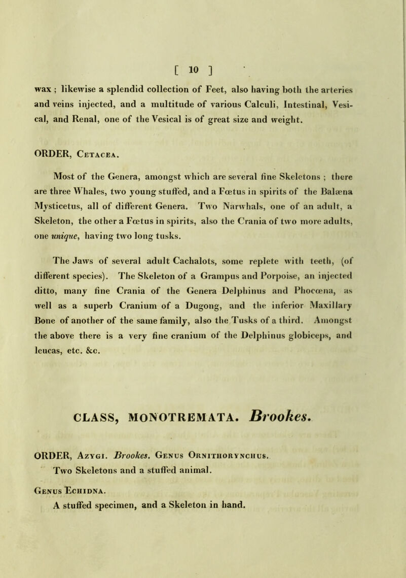 wax ; likewise a splendid collection of Feet, also having both the arteries and veins injected, and a multitude of various Calculi, Intestinal, Vesi- cal, and Renal, one of the Vesical is of great size and weight. ORDER, Cetacea. Most of the Genera, amongst w hich are several fine Skeletons ; there are three Whales, two young stuffed, and a Foetus in spirits of the Balsena Mysticetus, all of different Genera. Two Narwhals, one of an adult, a Skeleton, the other a Foetus in spirits, also the Crania of two more adults, one unique, having two long tusks. The Jaws of several adult Cachalots, some replete with teeth, (of different species). The Skeleton of a Grampus and Porpoise, an injected ditto, many fine Crania of the Genera Delphinus and Phoccena, as well as a superb Cranium of a Dugong, and the inferior Maxillary Bone of another of the same family, also the Tusks of a third. Amongst the above there is a very fine cranium of the Delphinus globice])s, and leucas, etc. &c. CLASS, MONOTREMATA. BrOokes. ORDER, Azygi. Brookes. Genus Ornithorynchus. Two Skeletons and a stuffed animal. Genus Echidna. A stuffed specimen, and a Skeleton in hand.