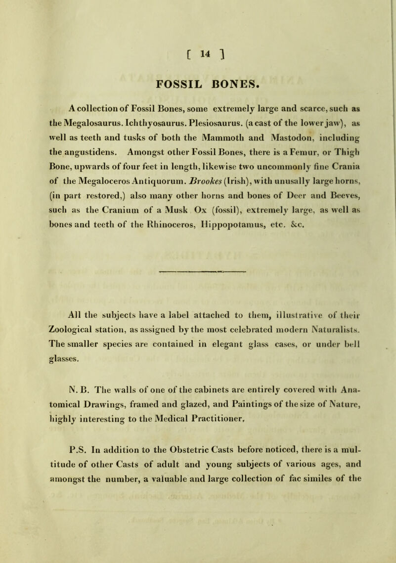 FOSSIL BONES. A collection of Fossil Bones, some extremely large and scarce, such as the Megalosaurus. Ichthyosaurus. Plesiosaurus, (a cast of the lower jaw), as well as teeth and tusks of both the Mammoth and Mastodon, including the angustidens. Amongst other Fossil Bones, there is a Femur, or Thigh Bone, upwards of four feet in length, likewise two uncommonly fine Crania of the Megaloceros Antiquorum. BrooTtes (Irish), with unusally large horns, (in part restored,) also many other horns and bones of Deer and Beeves, such as the Cranium of a Musk Ox (fossil), extremely large, as well as bones and teeth of the Rhinoceros, Hippopotamus, etc. &c. All the subjects have a label attached to them, illustrative of their Zoological station, as assigned by the most celebrated modern Naturalists. The smaller species are contained in elegant glass cases, or under bell glasses, N. B. The walls of one of the cabinets are entirely covered with Ana- tomical Drawings, framed and glazed, and Paintings of the size of Nature, highly interesting to the Medical Practitioner, P.S. In addition to the Obstetric Casts before noticed, there is a mul- titude of other Casts of adult and young subjects of various ages, and amongst the number, a valuable and large collection of fac similes of the