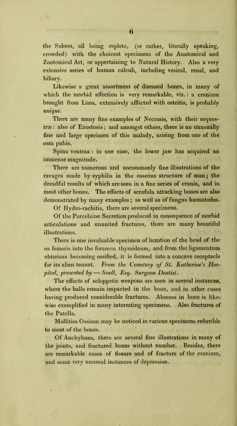 the Saloon, all being replete, (or rather, literally speaking, crowded) with the choicest specimens of the Anatomical and Zootomical Art, or appertaining to Natural History. Also a very extensive series of human calculi, including vesical, renal, and biliary. Likewise a great assortment of diseased bones, in many of which the morbid affection is very remarkable, viz.: a cranium brought from Lima, extensively afflicted with osteitis, is probably unique. There are many fine examples of Necrosis, with their seques- tra : also of Exostosis; and amongst others, there is an unusually fine and large specimen of this malady, arising from one of the ossa pubis. Spina ventosa : in one case, the lower jaw has acquired an immense magnitude. There are numerous and uncommonly fine illustrations of the ravages made by syphilis in the osseous structure of man; the dreadful results of which are seen in a fine series of crania, and in most other bones. The effects of scrofula attacking bones are also demonstrated by many examples ; as well as of fungus hsematodes. Of Hydro-rachitis, there are several specimens. Of the Porcelaine Secretion produced in consequence of morbid articulations and ununited fractures, there are many beautiful illustrations. There is one invaluable specimen of luxation of the head of the os femoris into the foramen thyroideum, and from the ligamentum obturans becoming ossified, it is formed into a concave receptacle for its alien tenant. From the Cemetery of St. Katherine's Hos- pital, presented by — Snell, Esq. Surgeon Dentist. The effects of scloppetic weapons are seen in several instances, where the balls remain impacted in the bone, and in other cases having produced considerable fractures. Abscess in bone is like- wise exemplified in many interesting specimens. Also fractures of the Patella. Mollifies Ossium may be noticed in various specimens referrible to most of the bones. Of Anchyloses, there are several fine illustrations in many of the joints, and fractured bones without number. Besides, there are remarkable cases of fissure and of fracture of the cranium, and some very unusual instances of depression.