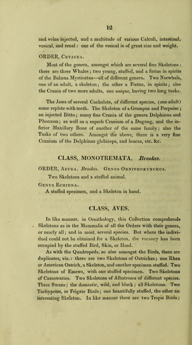 and veins injected, and a multitude of various Calculi, intestinal, vesical, and renal: one of the vesical is of great size and weight. ORDER, Cetacea. Most of the genera, amongst which are several fine Skeletons : there are three Whales ; two young, stuffed, and a foetus in spirits of the Balaena Mysticetus—all of different genera. Two Narwhals, one of an adult, a skeleton; the other a Foetus, in spirits; also the Crania of two more adults, one unique, having two long tusks. The Jaws of several Cachalots, of different species, (one adult) some replete with teeth. The Skeleton of a Grampus and Porpoise ; an injected Ditto; many fine Crania of the genera Delphinus and Phoccena; as well as a superb Cranium of a Dugong, and the in- ferior Maxillary Bone of another of the same family; also the Tusks of two others. Amongst the above, there is a very fine Cranium of the Delphinus globiceps, and leucas, etc. &c. CLASS, MONOTREMATA. Brookes. ORDER, Azyga. Brookes. Genus Ornithorynchus. Two Skeletons and a stuffed animal. Genus Echidna. A stuffed specimen, and a Skeleton in hand. CLASS, AVES. In like manner, in Ornithology, this Collection comprehends Skeletons as in the Mammalia of all the Orders with their genera, or nearly all; and in most, several species. But where the indivi- dual could not be obtained for a Skeleton, the vacancy has been occupied by the stuffed Bird, Skin, or Head. As with the Quadrupeds, so also amongst the Birds, there are duplicates, viz.: there are two Skeletons of Ostriches ; one Rhea or American Ostrich, a Skeleton, and another specimen stuffed. Two Skeletons of Emews, with one stuffed specimen. Two Skeletons of Cassowaries. Two Skeletons of Albatroses of different species. Three Sw'ans; the domestic, wild, and black ; all Skeletons. Two Tachypetes, or Frigate Birds; one beautifully stuffed, the other an interesting Skeleton. In like manner there are two Tropic Birds;