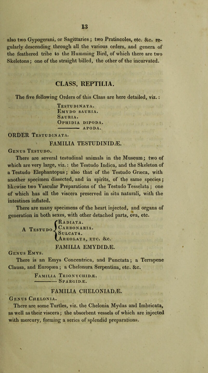 also two Gypogerani, or Sagittaries ; two Pratincoles, etc. &c. re- gularly descending through all the various orders, and genera of the feathered tribe to the Humming Bird, of which there are two Skeletons; one of the straight billed, the other of the incurvated. CLASS, REPTILIA. The five following Orders of this Class are here detailed, viz.: Testudinata. Emydo sauria. Sauria. Ophidia dipoda. APODA. ORDER Testudinata. FAMILIA TESTUDINIDiE. Genus Testudo. There are several testudinal animals in the Museum; two of which are very large, viz.: the Testudo Indica, and the Skeleton of a Testudo Elephantopus; also that of the Testudo Grgeca, with another specimen dissected, and in spirits, of the same species; likewise two Vascular Preparations of the Testudo Tesselata ; one of which has all the viscera preserved in situ naturali, with the intestines inflated. There are many specimens of the heart injected, and organs of generation in both sexes, with other detached parts, ova, etc. A Testudo ^Radiata. J Carbonaria. A Sulcata. (.Areolata, etc. &c. FAMILIA EMYDID^E. Genus Emys. There is an Emys Concentrica, and Punctata; a Terrapene Clausa, and Europsea; a Chelonura Serpentina, etc. &c. FAMILIA TrION YCHID.&. SpARGIDiE. FAMILIA CHELONIADiE. Genus Chelonia. There are some Turtles, viz. the Chelonia Mydas and Imbricata, as well as their viscera; the absorbent vessels of which are injected with mercury, forming a series of splendid preparations.