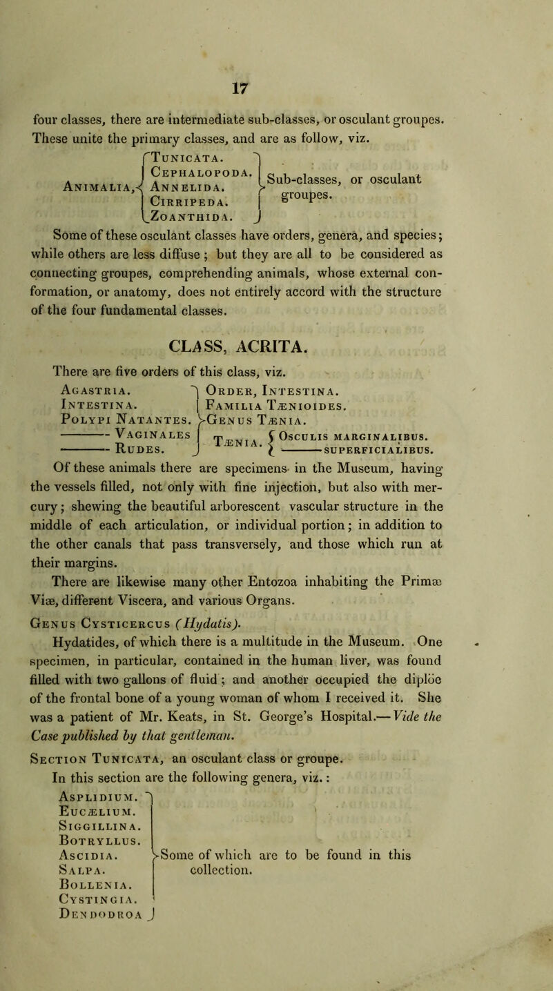 four classes, there are intermediate sub-classes, or osculant groupes. These unite the primary classes, and are as follow, viz. /Tunicata. Cephalopoda. gub_ciasses or osculant Annelida. > ' I ClRRIPEDA. I grouPeS- l_ZoANTHIDA. J Some of these osculant classes have orders, genera, and species; while others are less diffuse ; but they are all to be considered as connecting groupes, comprehending animals, whose external con- formation, or anatomy, does not entirely accord with the structure of the four fundamental classes. CLASS, ACRITA. There are five orders of this class, viz. Agastria. Intestina. Polypi Natantes. Vaginales Rudes. j Order, Intestina. [ FAMILIA TjENIOIDES. )>Genus T^nia. T.enia OSCULIS MARGINAL'I BU5. SUPERFICIALIBVS. Of these animals there are specimens- in the Museum, having the vessels filled, not only with fine injection, but also with mer- cury ; shewing the beautiful arborescent vascular structure in the middle of each articulation, or individual portion; in addition to the other canals that pass transversely, and those which run at their margins. There are likewise many other Entozoa inhabiting the Primm Vise, different Viscera, and various Organs. Genus Cysticercus (Hydatis). Hydatides, of which there is a multitude in the Museum. One specimen, in particular, contained in the human liver, was found filled with two gallons of fluid ; and another occupied the diploe of the frontal bone of a young woman of whom I received it. She was a patient of Mr. Keats, in St. George’s Hospital.— Vide the Case published by that gentleman. Section Tunicata, an osculant class or groupe. In this section are the following genera, viz.: Asplidium.  EuCiELIUM. * SlGGILLIN A. Botryllus. Ascidia. >Some of which are to be found in this Salpa. collection. Bollenia. Cystingia. * Dendodroa J